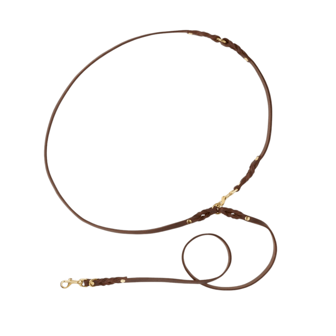 Butter Leather 3x Adjustable Dog Leash - Classic Brown - Eva Pet - mollyandstitchus