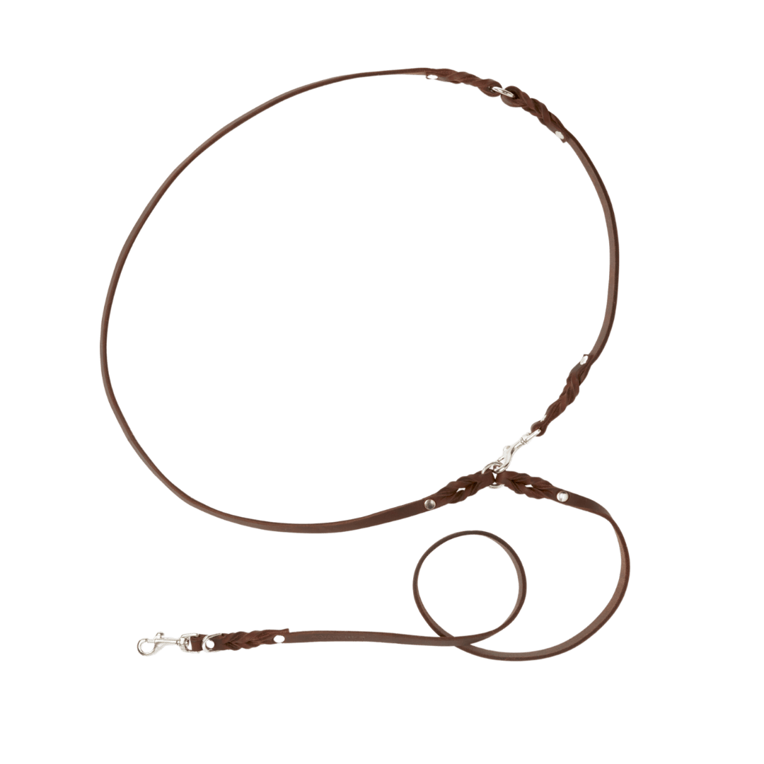 Butter Leather 3x Adjustable Dog Leash - Classic Brown - Eva Pet - mollyandstitchus