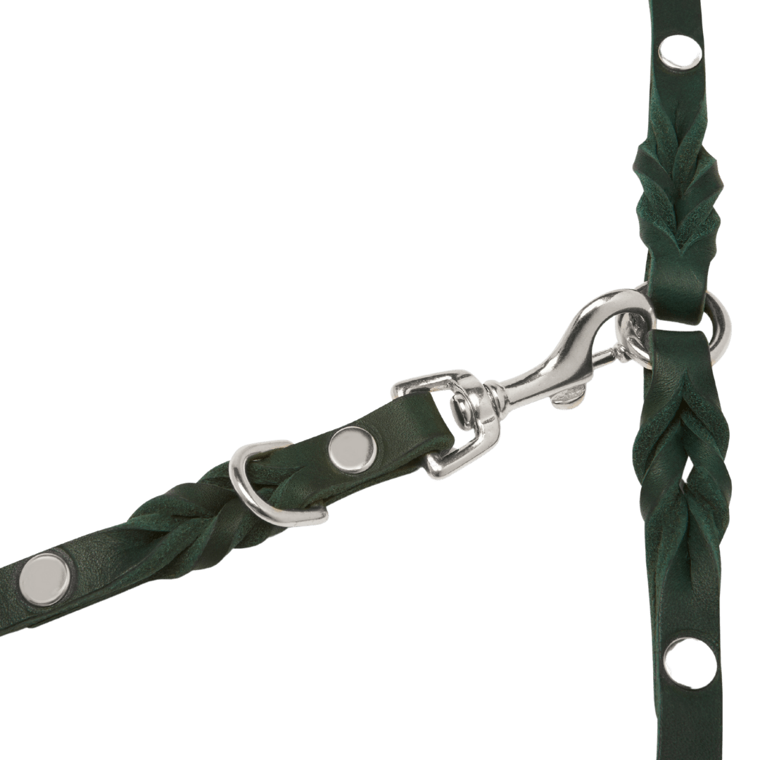 Butter Leather 3x Adjustable Dog Leash - Forest Green - Eva Pet - mollyandstitchus