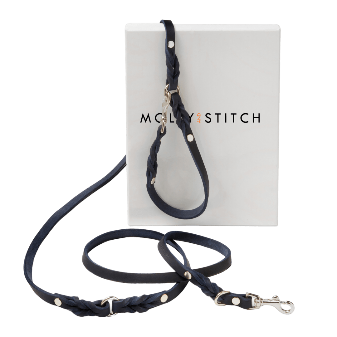 Butter Leather 3x Adjustable Dog Leash - Navy Blue - Eva Pet - mollyandstitchus