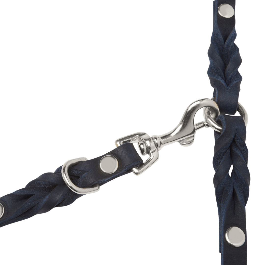Butter Leather 3x Adjustable Dog Leash - Navy Blue - Eva Pet - mollyandstitchus