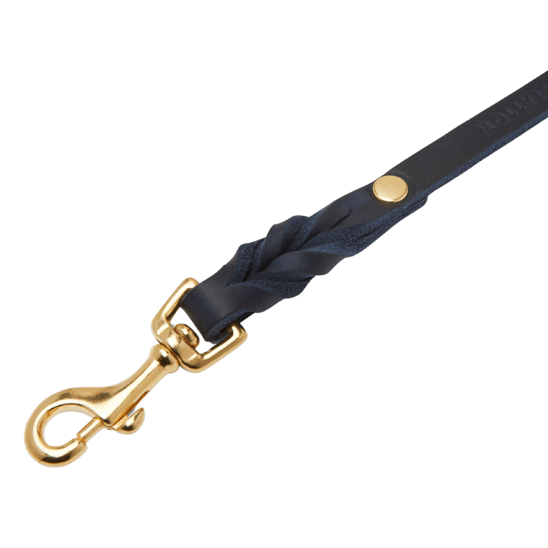 Butter Leather 3x Adjustable Dog Leash - Navy Blue - Eva Pet - mollyandstitchus