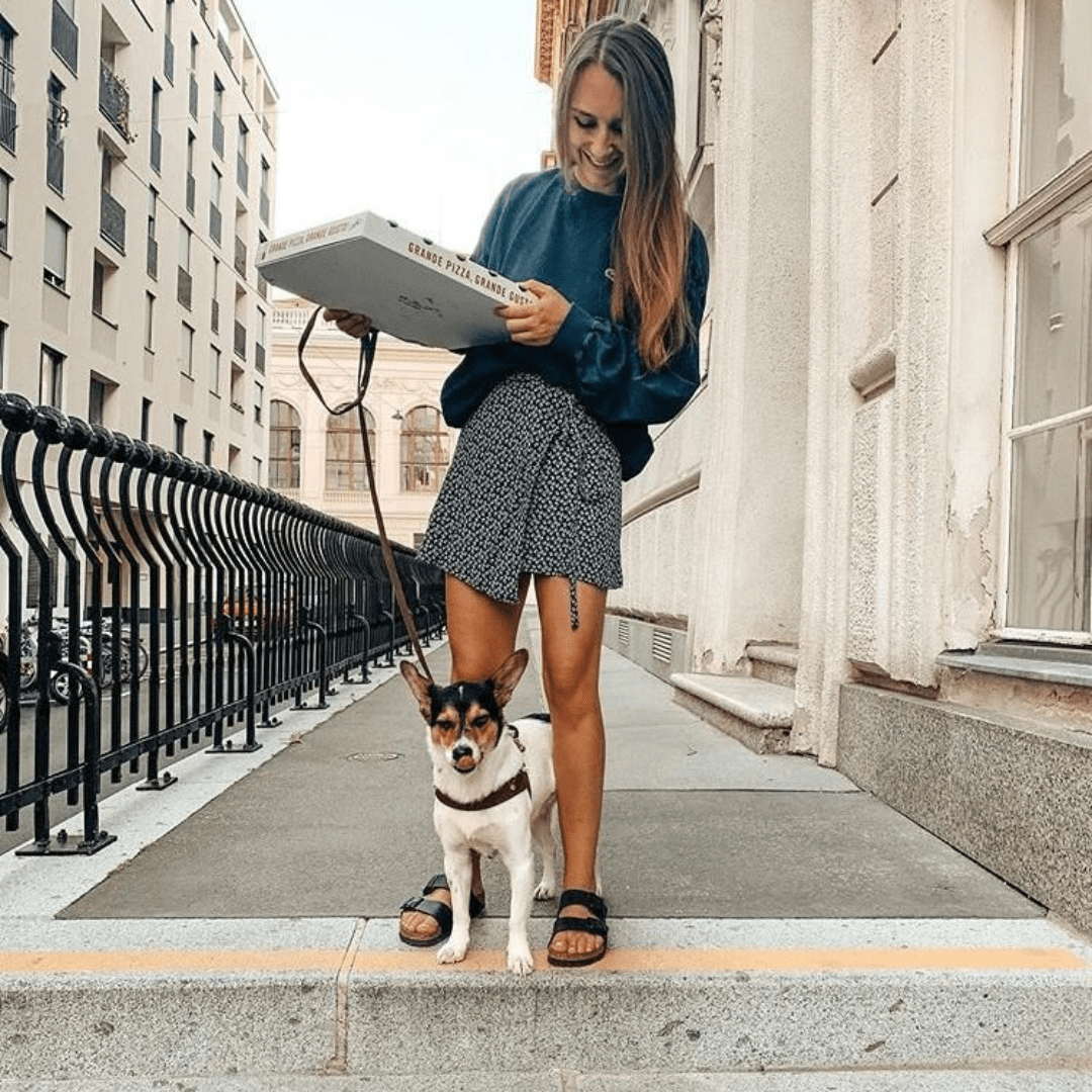 Butter Leather City Dog Leash - Classic Brown - Eva Pet - mollyandstitchus