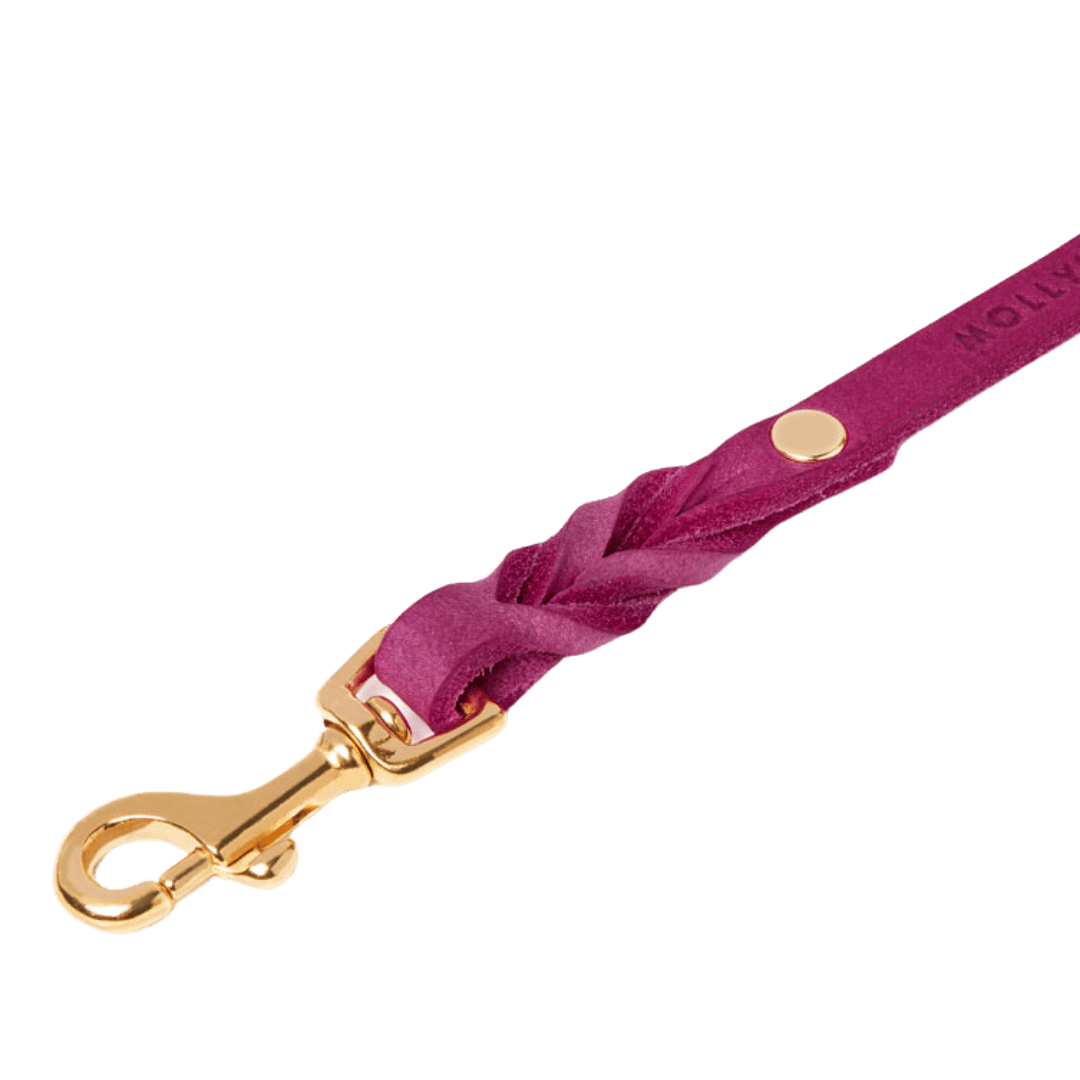 Butter Leather City Dog Leash - Flamingo - Eva Pet - mollyandstitchus
