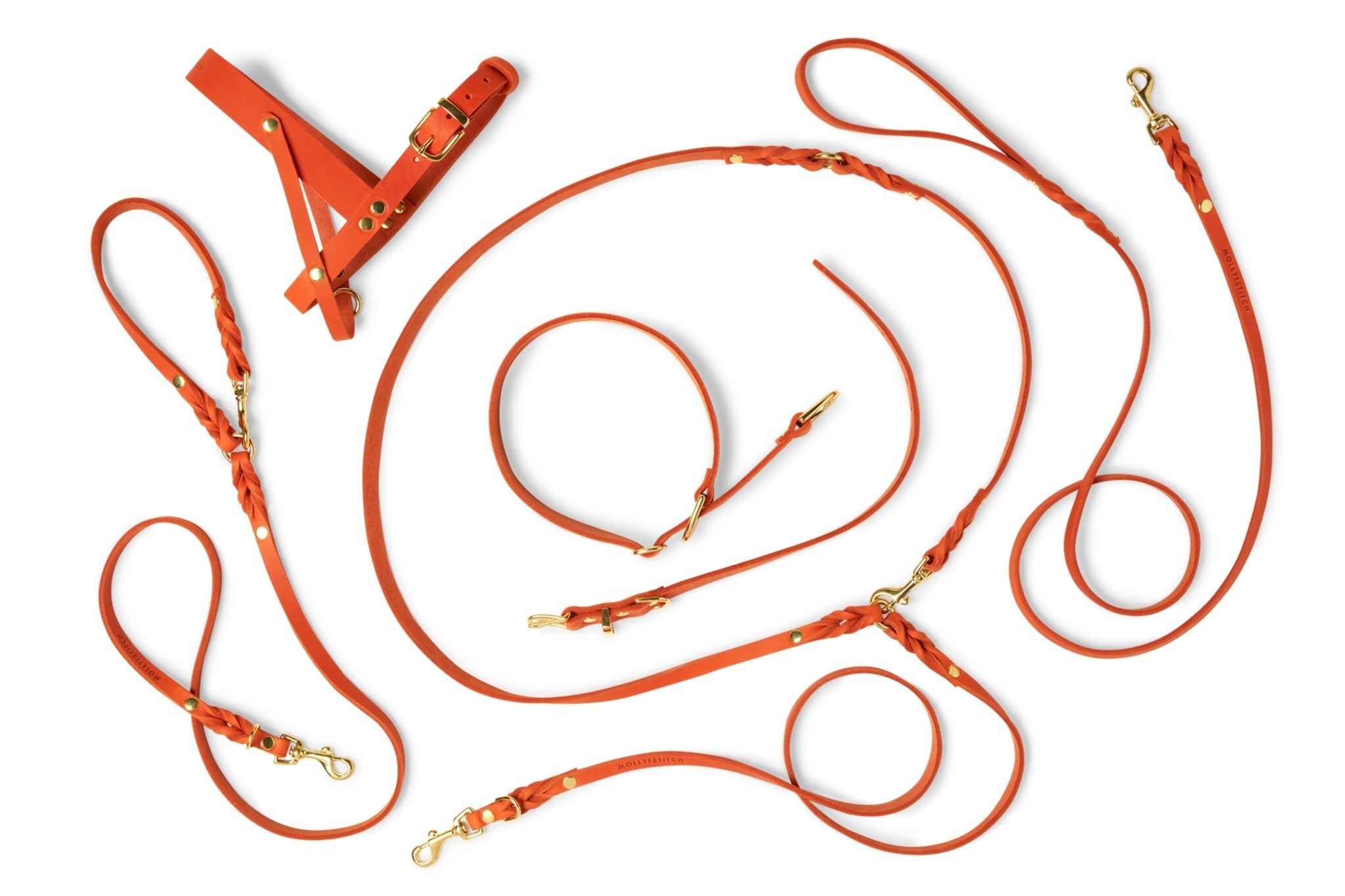 Butter Leather City Dog Leash - Mango - Eva Pet - mollyandstitchus