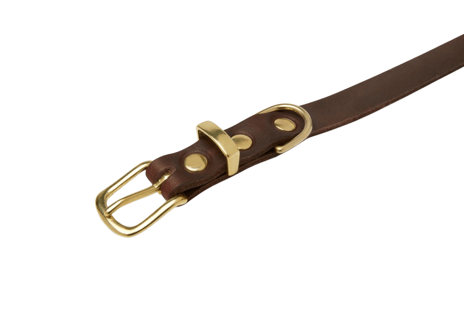 Butter Leather Dog Collar - Classic Brown - Eva Pet - mollyandstitchus