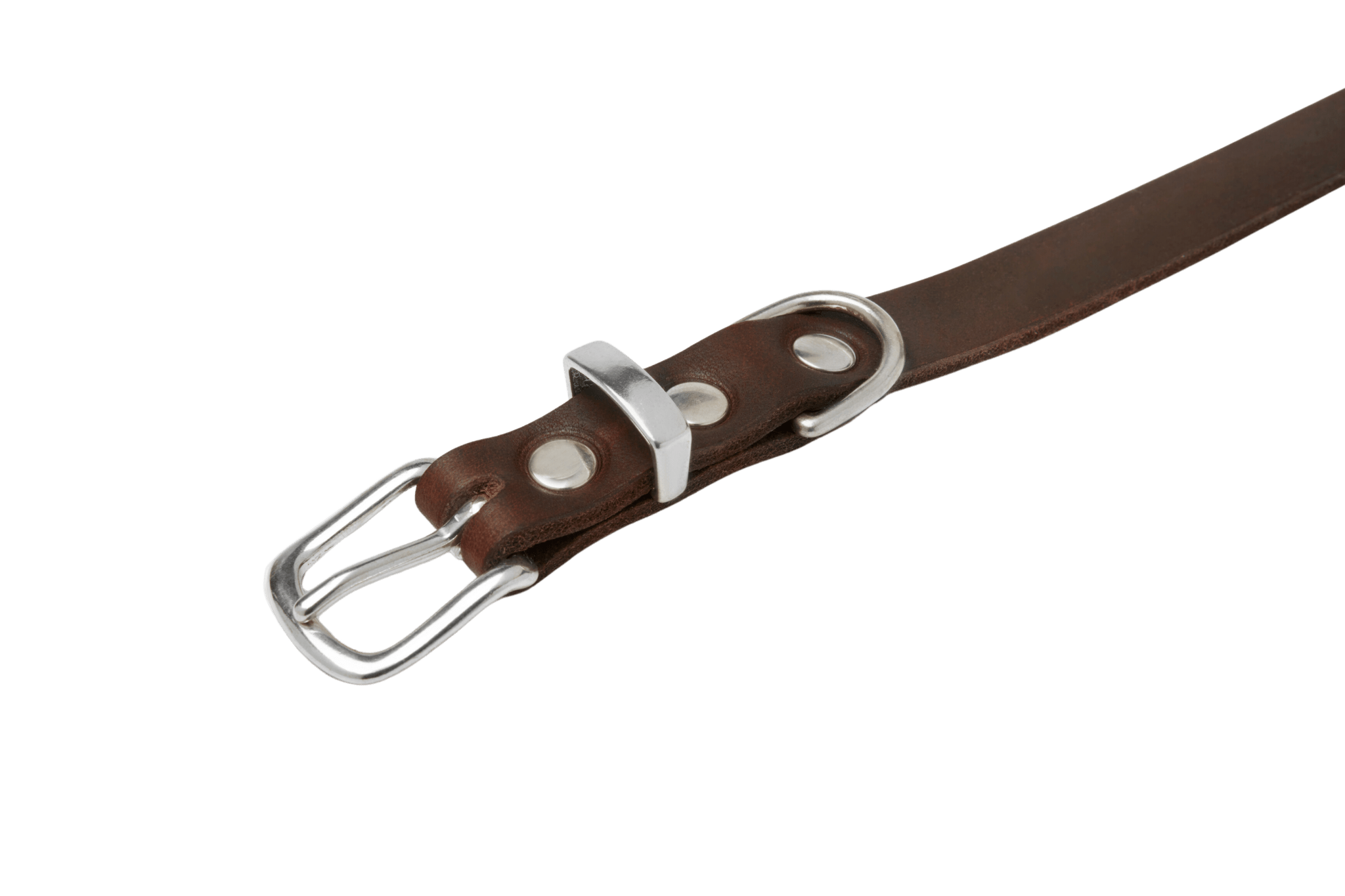 Butter Leather Dog Collar - Classic Brown - Eva Pet - mollyandstitchus
