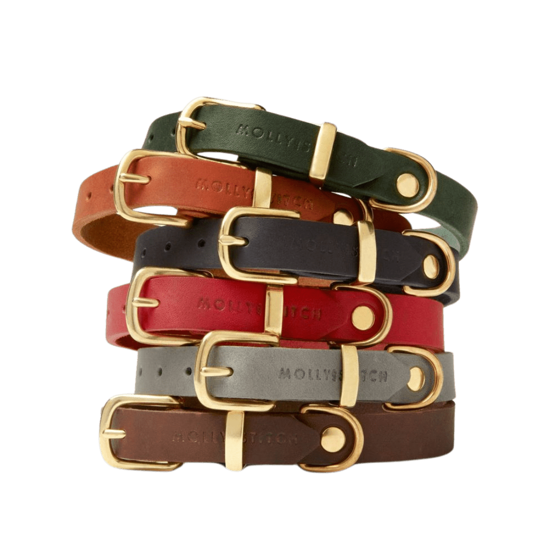 Butter Leather Dog Collar - Forest Green - Eva Pet - mollyandstitchus