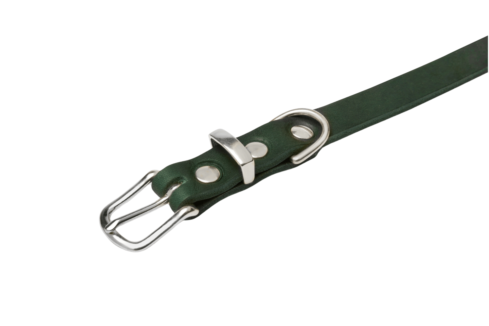 Butter Leather Dog Collar - Forest Green - Eva Pet - mollyandstitchus