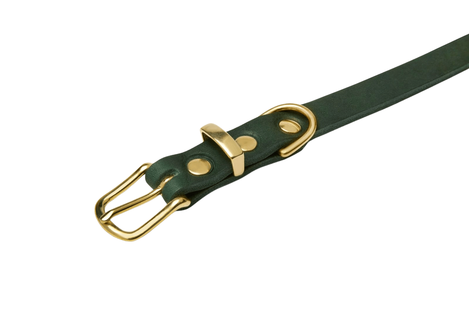 Butter Leather Dog Collar - Forest Green - Eva Pet - mollyandstitchus