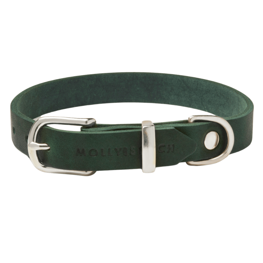 Butter Leather Dog Collar - Forest Green - Eva Pet - mollyandstitchus