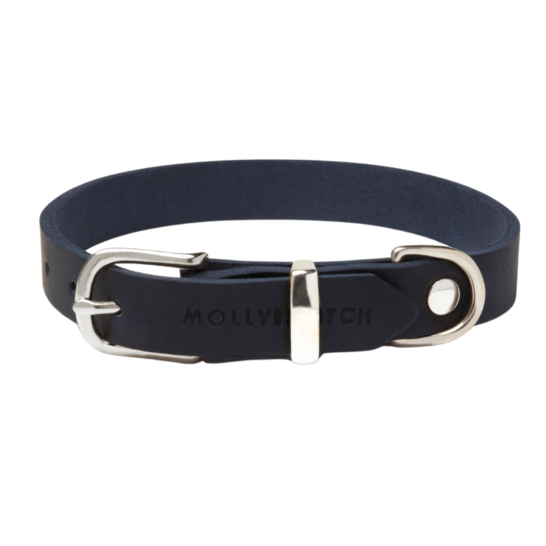 Butter Leather Dog Collar - Navy Blue - Eva Pet - mollyandstitchus