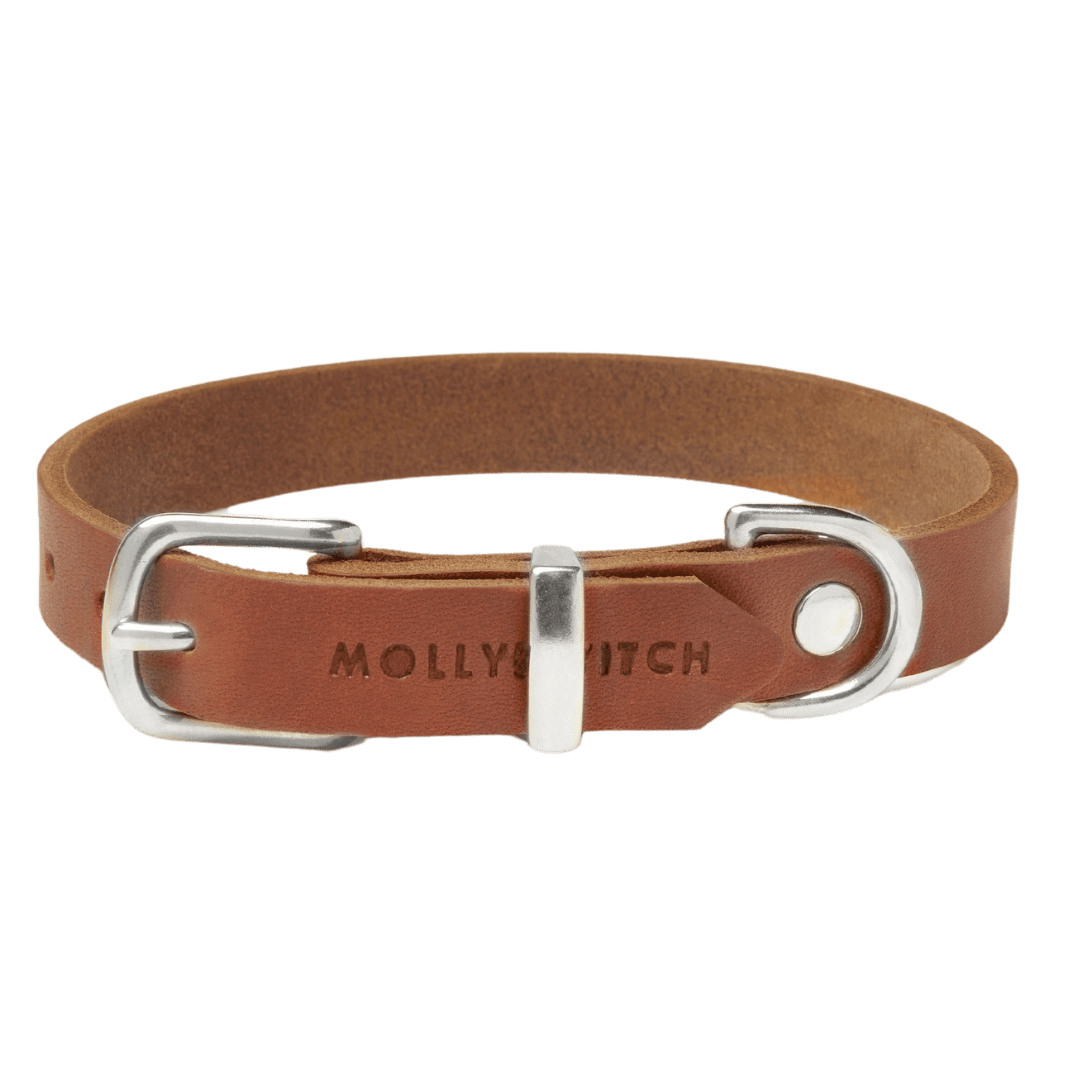 Butter Leather Dog Collar - Sahara Cognac - Eva Pet - Molly And Stitch