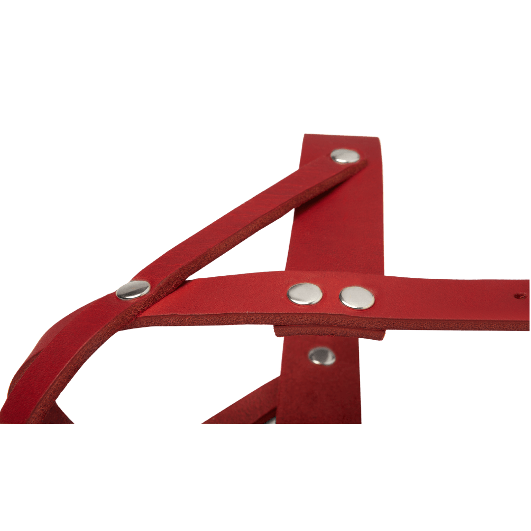 Butter Leather Dog Harness - Chili Red - Eva Pet - mollyandstitchus
