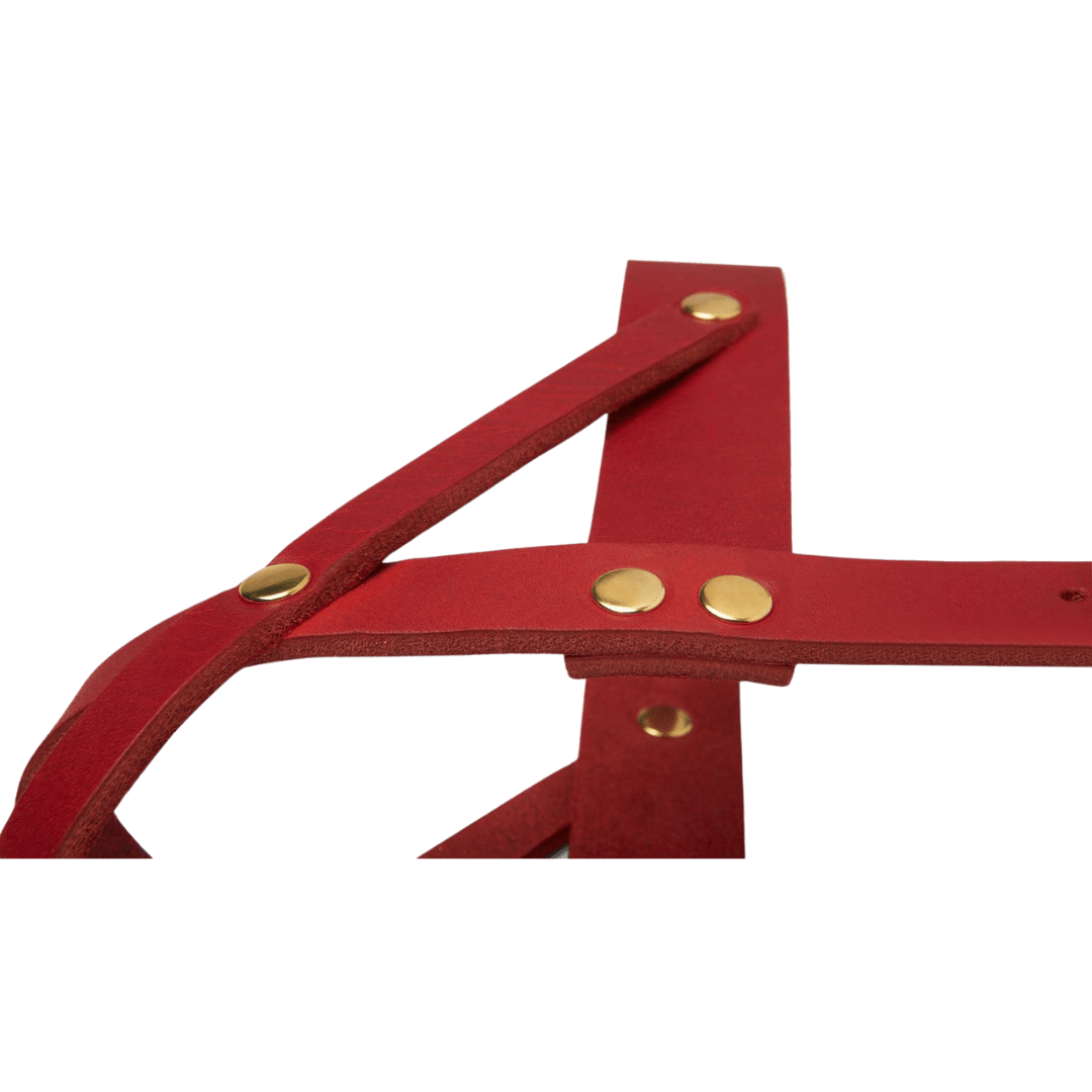 Butter Leather Dog Harness - Chili Red - Eva Pet - mollyandstitchus