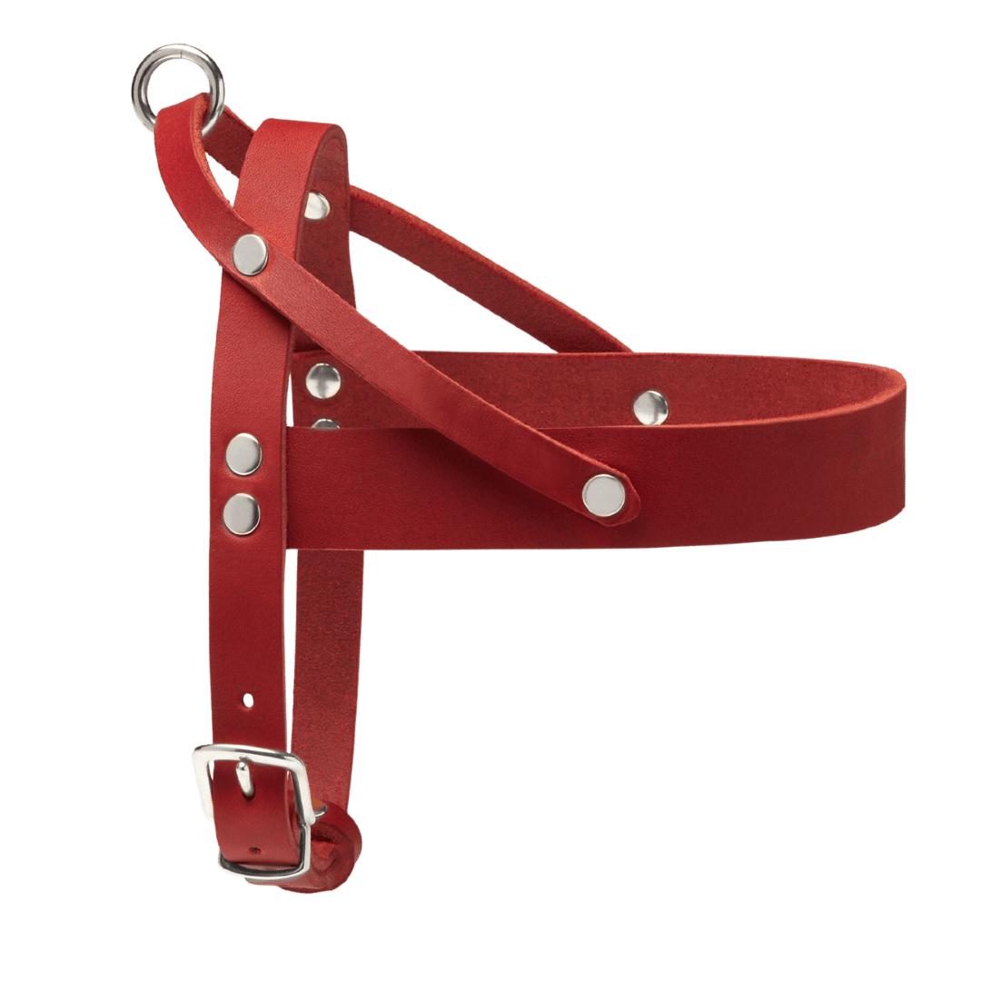 Butter Leather Dog Harness - Chili Red - Eva Pet - mollyandstitchus