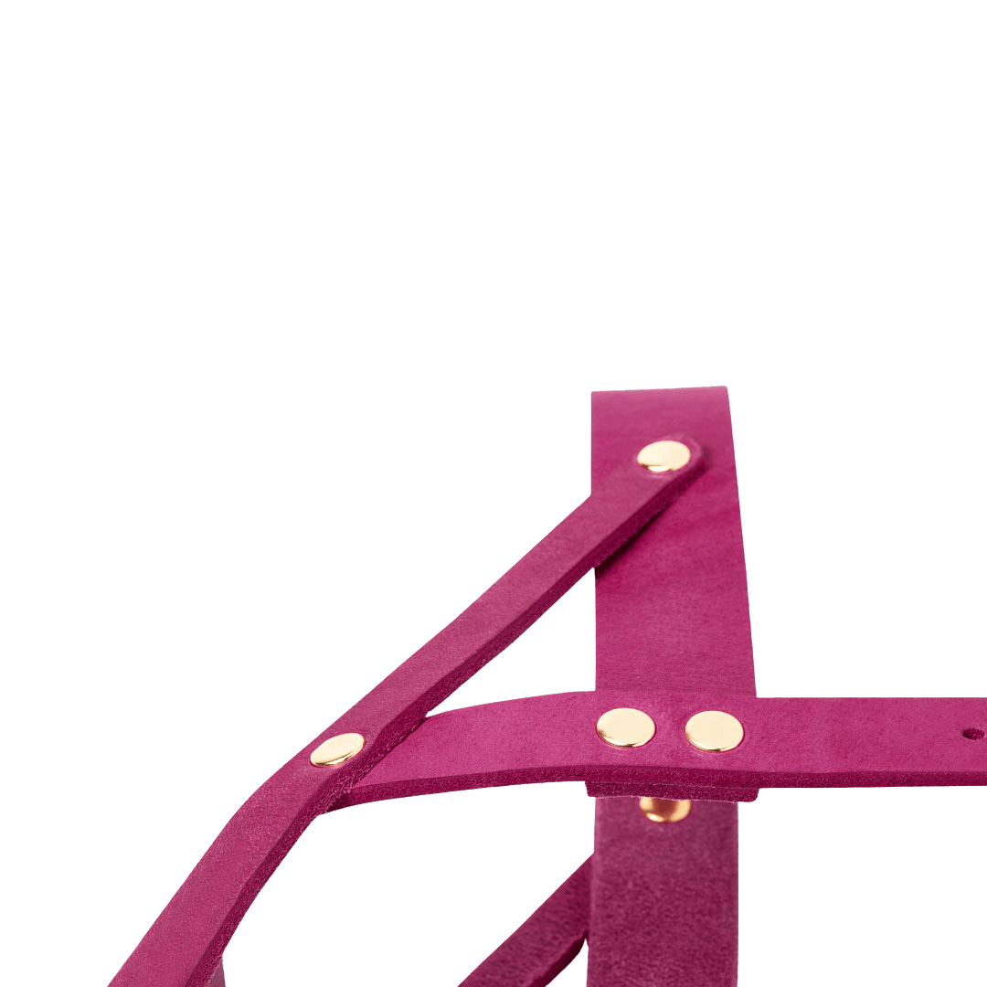 Butter Leather Dog Harness - Flamingo - Eva Pet - mollyandstitchus