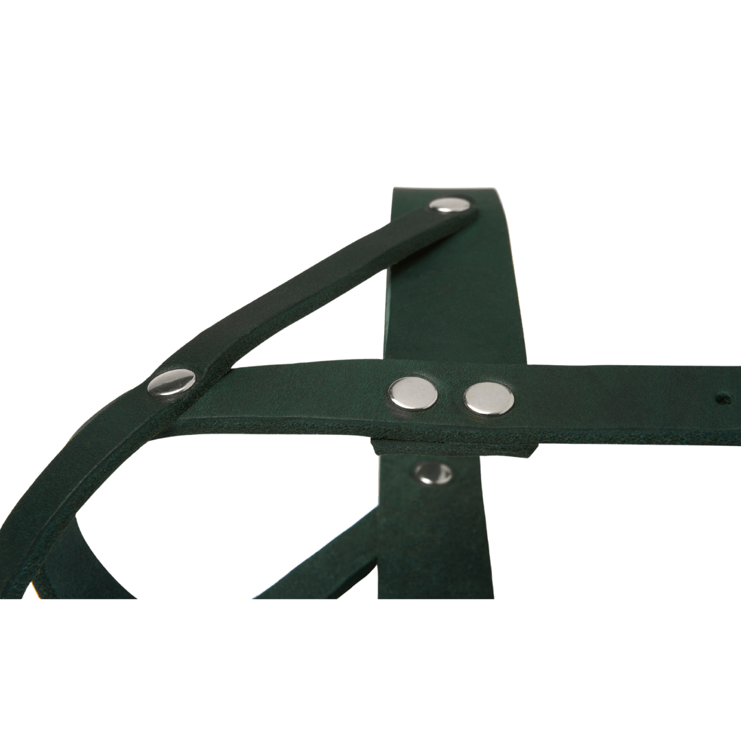 Butter Leather Dog Harness - Forest Green - Eva Pet - mollyandstitchus