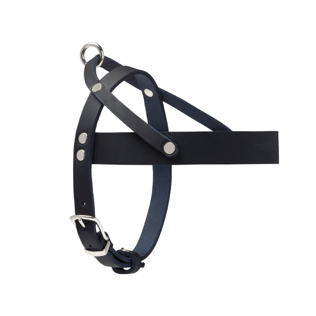 Butter Leather Dog Harness - Navy Blue - Eva Pet - mollyandstitchus