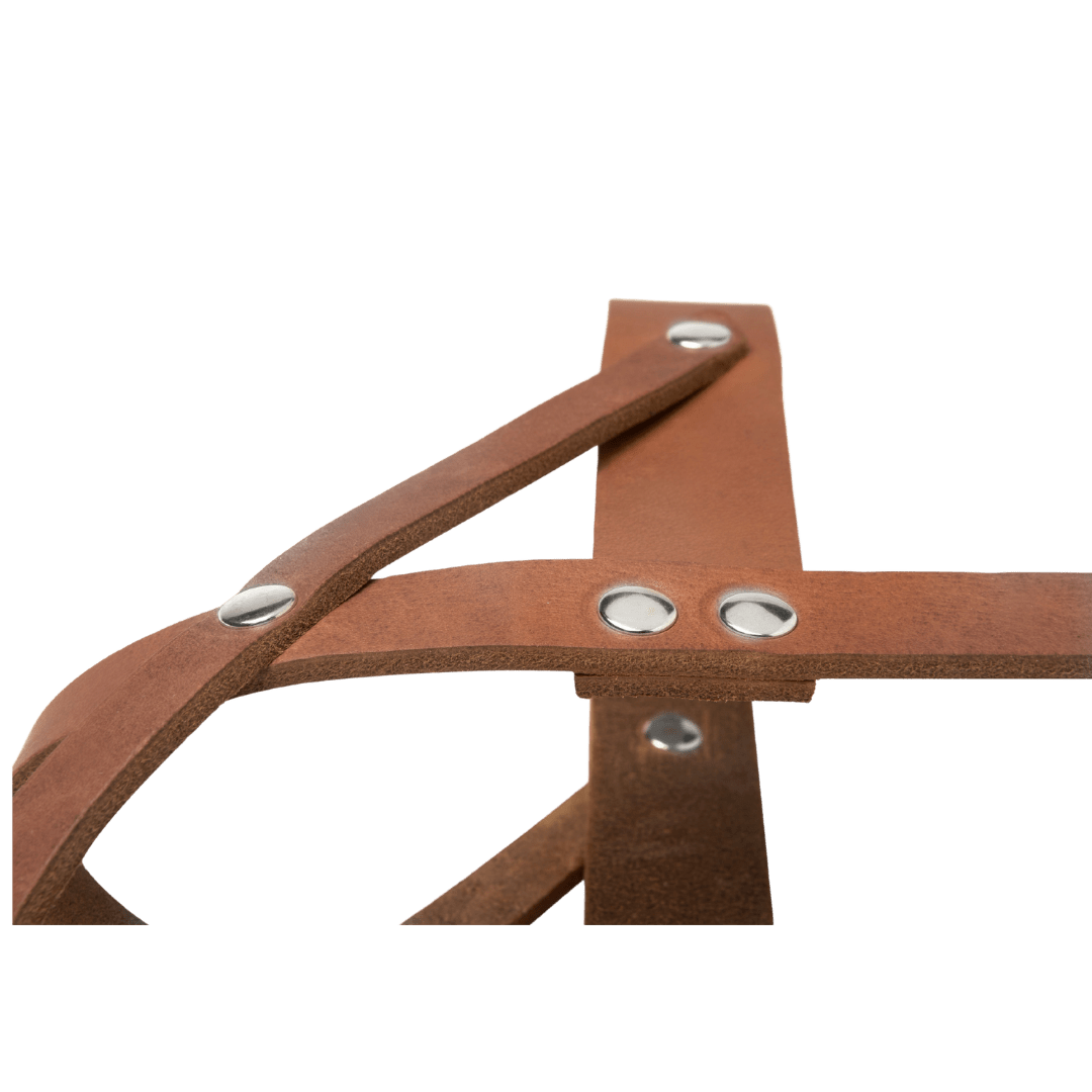 Butter Leather Dog Harness - Sahara Cognac - Eva Pet - mollyandstitchus