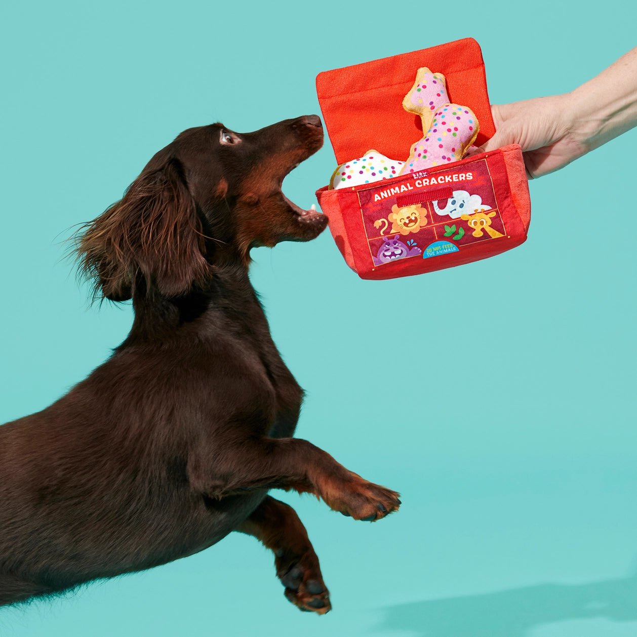 Calm Mind, Happy Pup Anxiety & Behavior Bundle - Eva Pet - Eva Pet