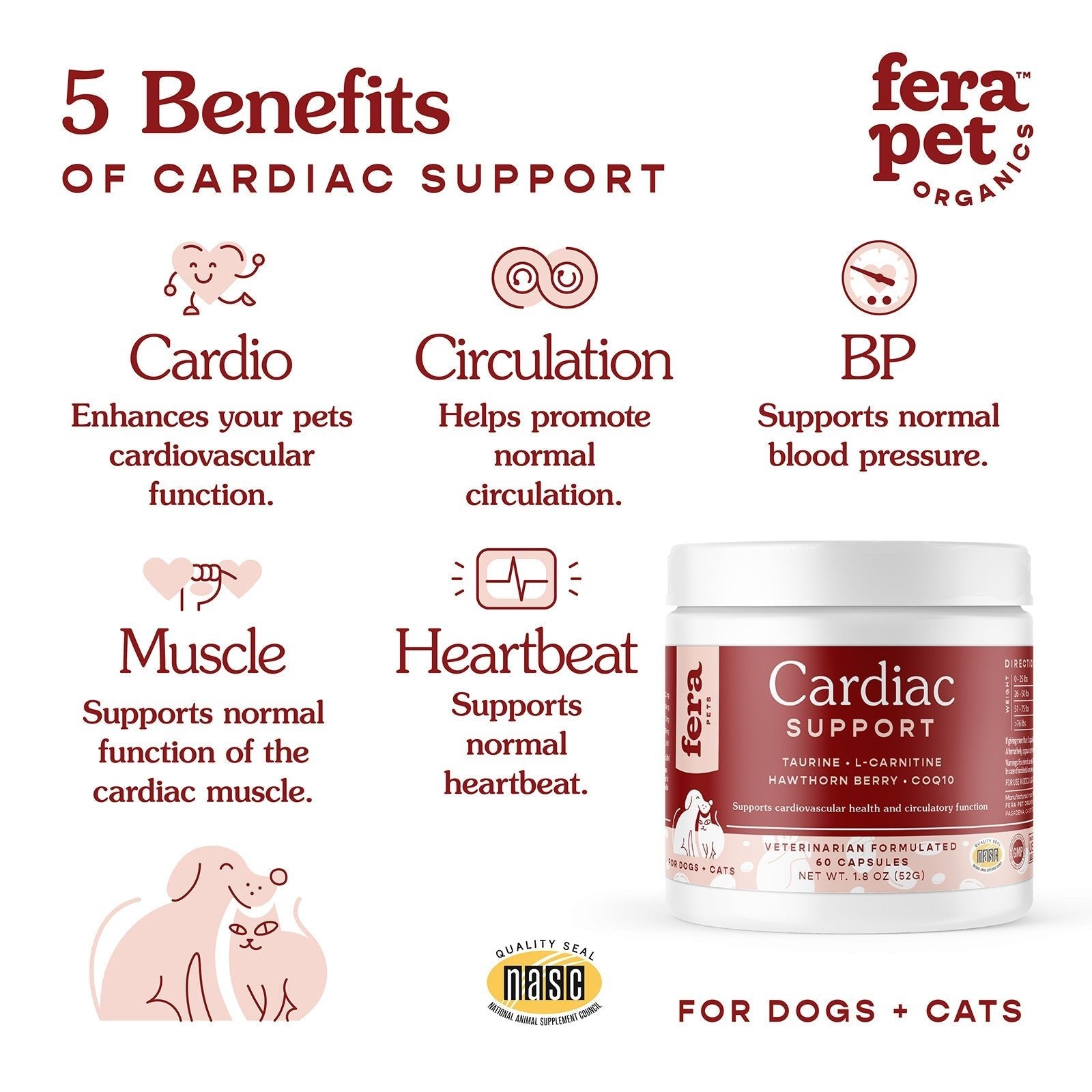 Cardiac Support for Dogs and Cats - Eva Pet - Fera Pet Organics