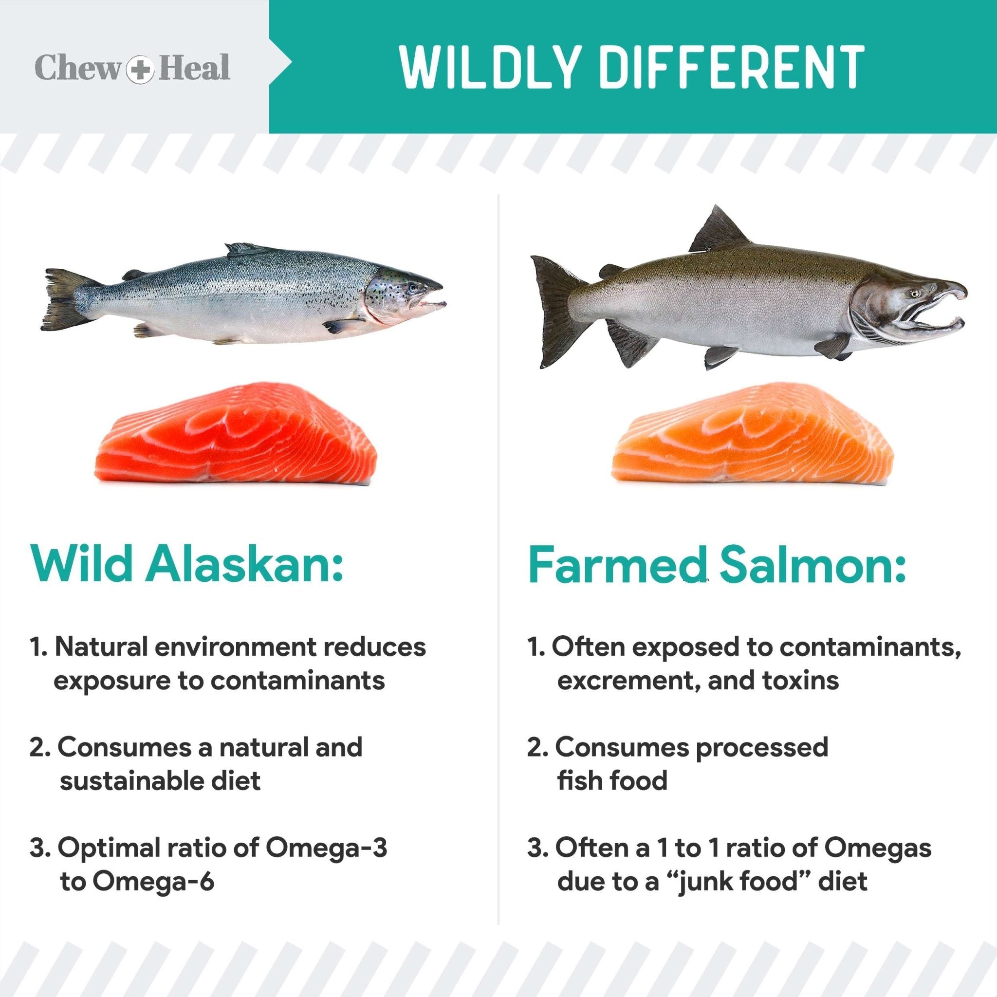 Chew + Heal Wild Alaskan Probiotics Digestive Aid Salmon Soft Jerky Dog Treats - Eva Pet - Chew + Heal