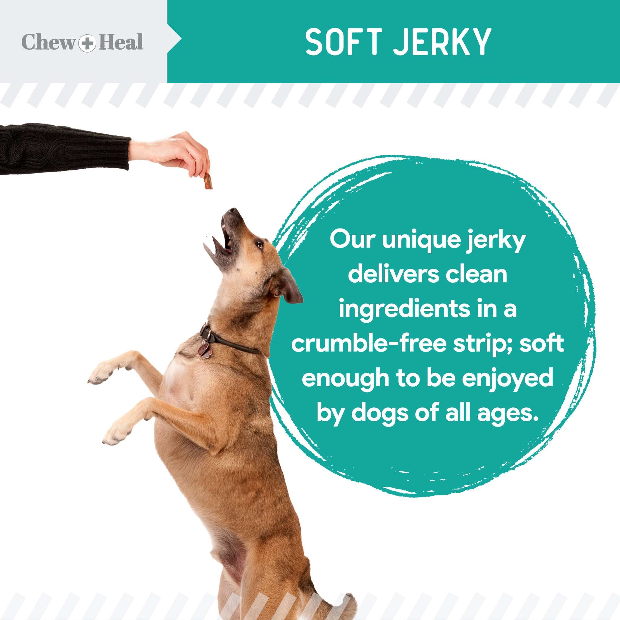 Chew + Heal Wild Alaskan Probiotics Digestive Aid Salmon Soft Jerky Dog Treats - Eva Pet - Chew + Heal