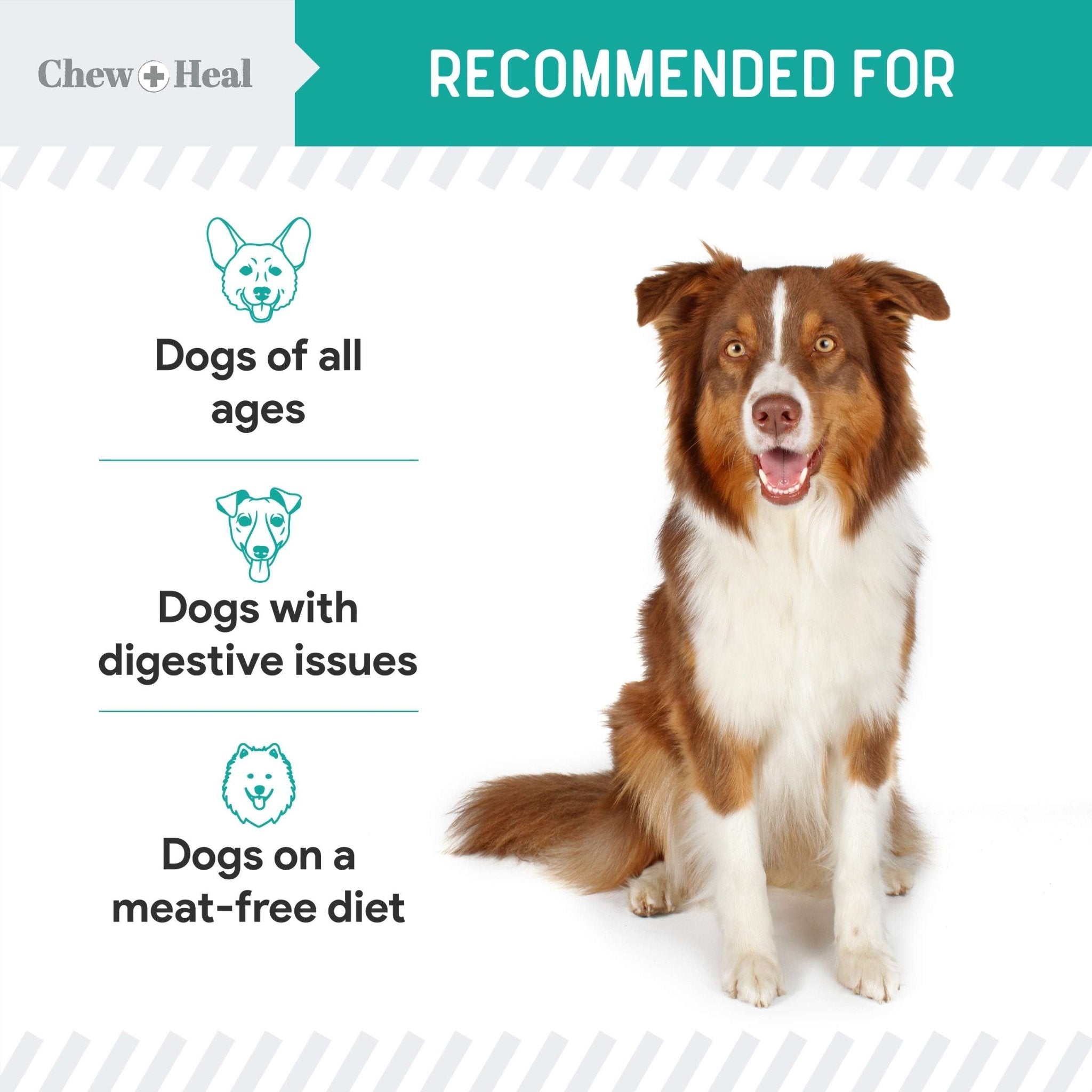 Chew + Heal Wild Alaskan Probiotics Digestive Aid Salmon Soft Jerky Dog Treats - Eva Pet - Chew + Heal