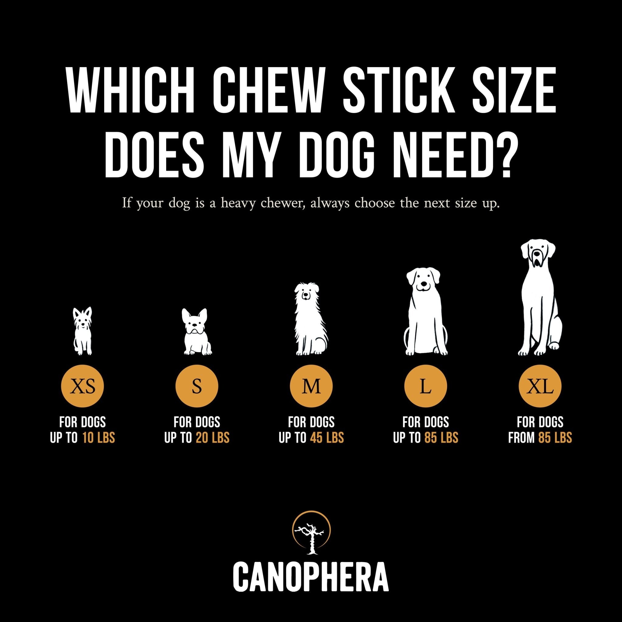 Coffee Wood Chew Sticks