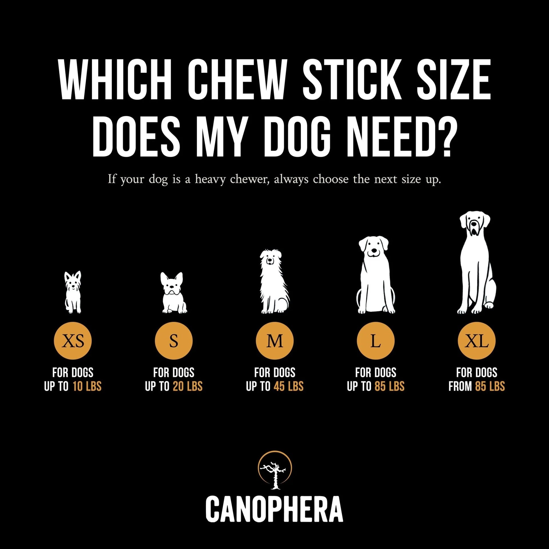 Coffee Wood Chew Sticks