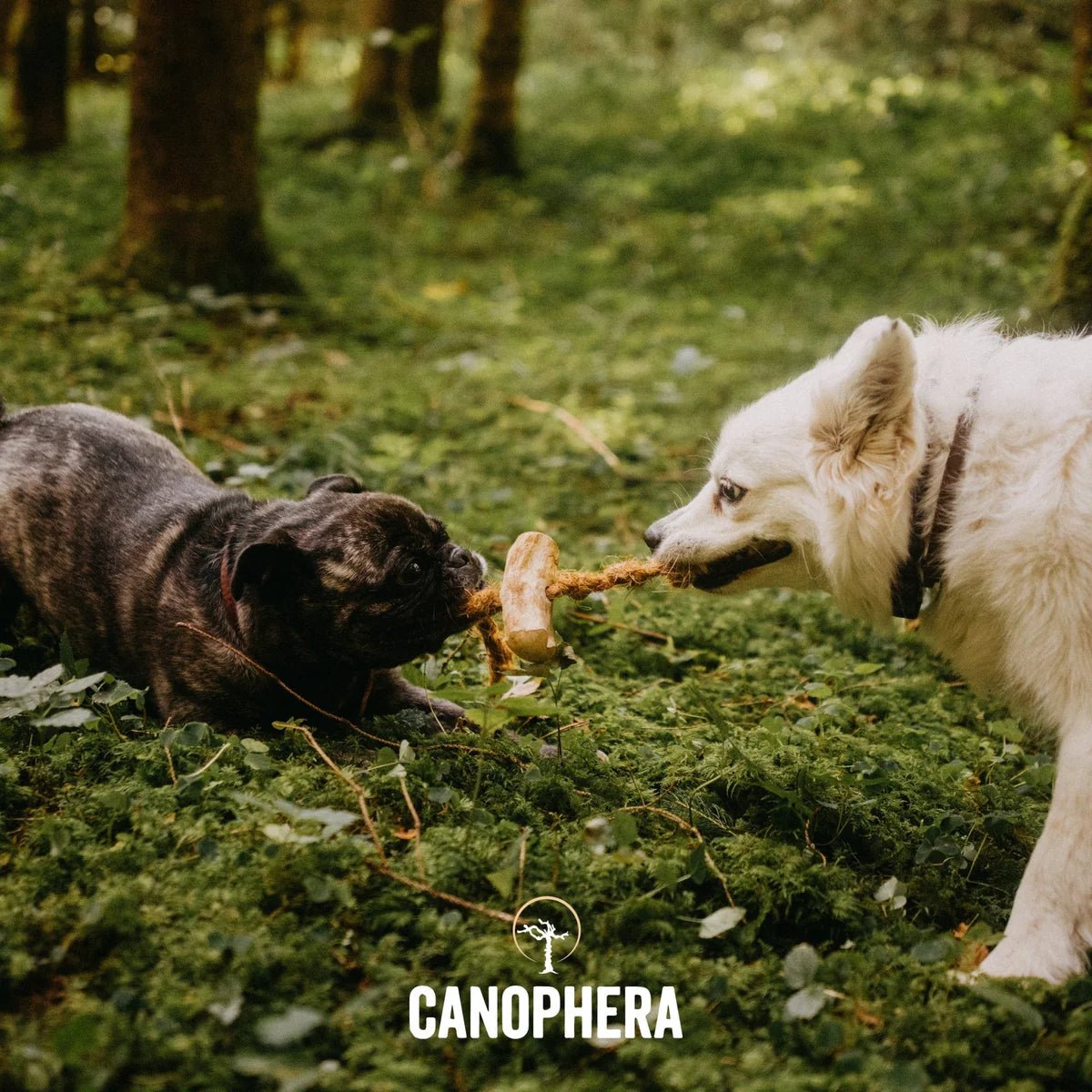 Coffee+Coco Chews - Eva Pet - CANOPHERA