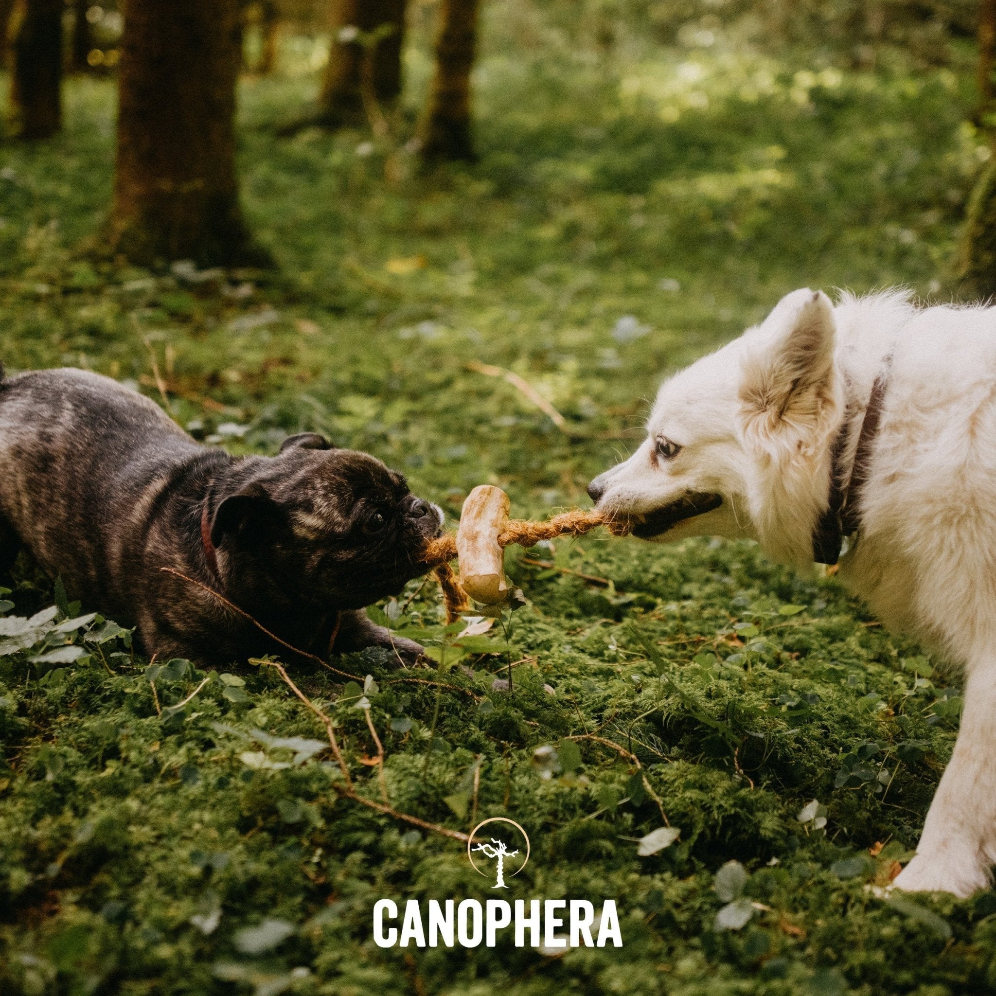 Coffee+Coco Chews - Eva Pet - CANOPHERA