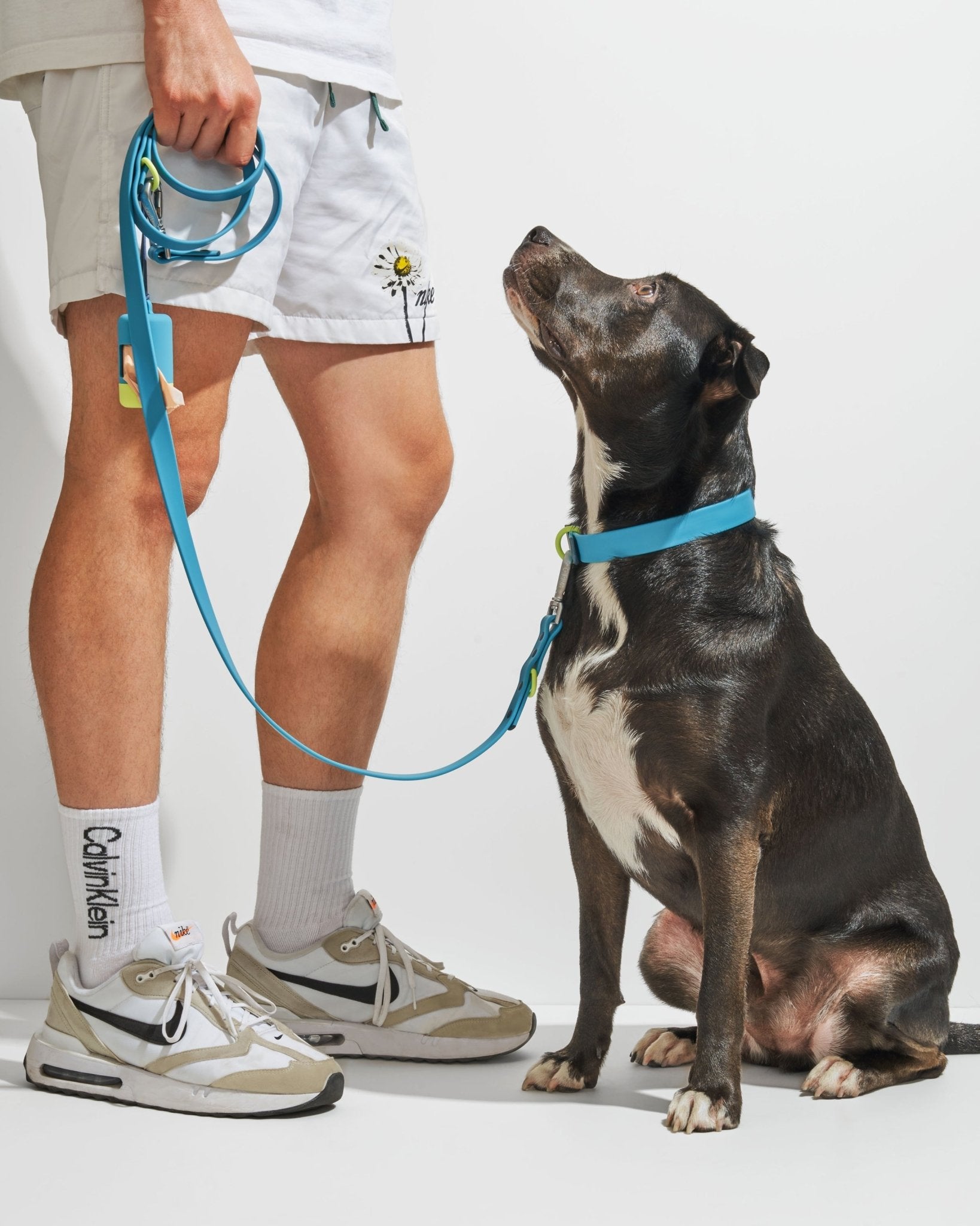 Collar - Eva Pet - Wild One