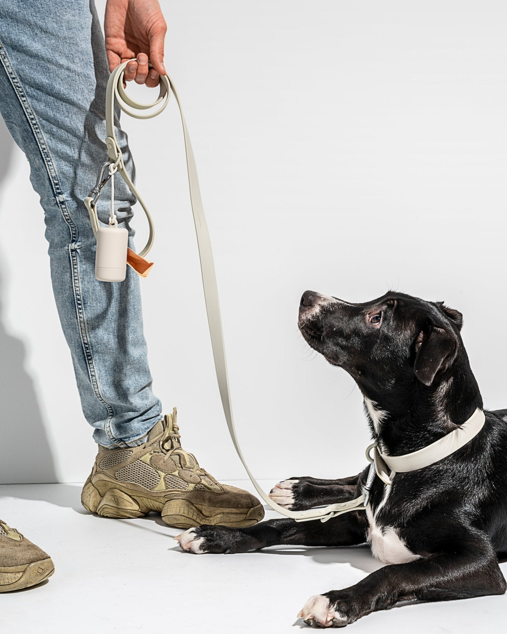Collar - Eva Pet - Wild One