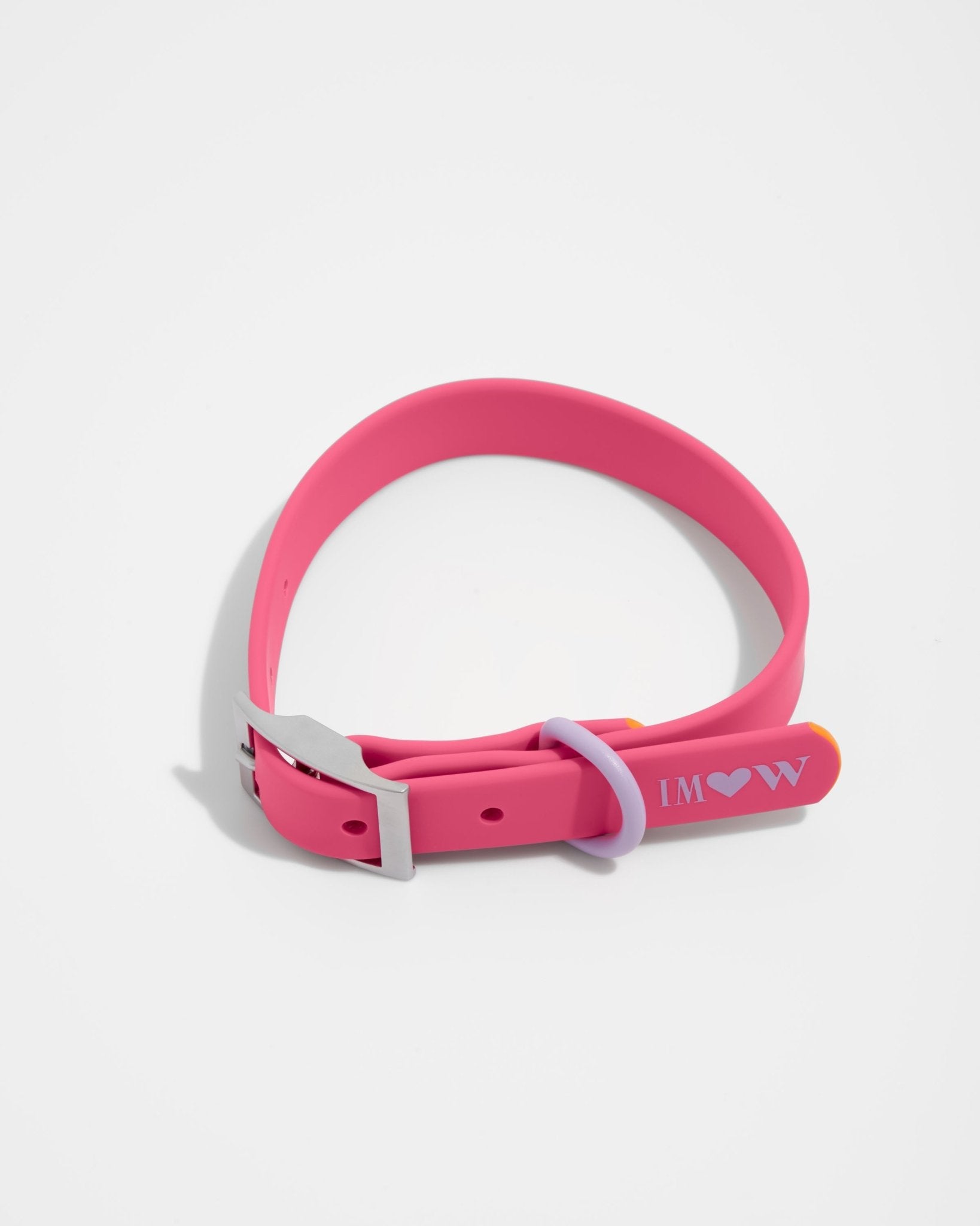 Collar - Eva Pet - Wild One