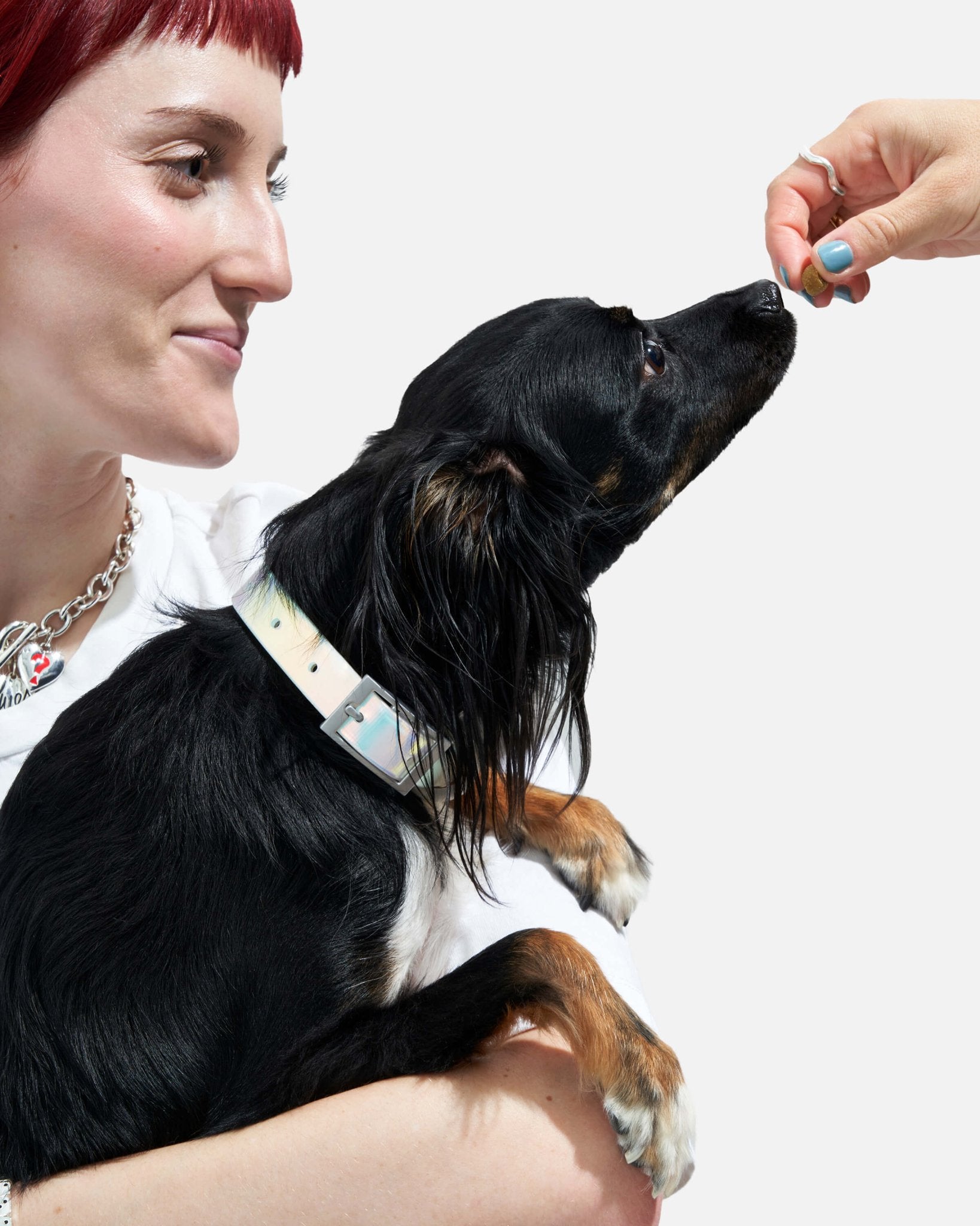 Collar - Eva Pet - Wild One