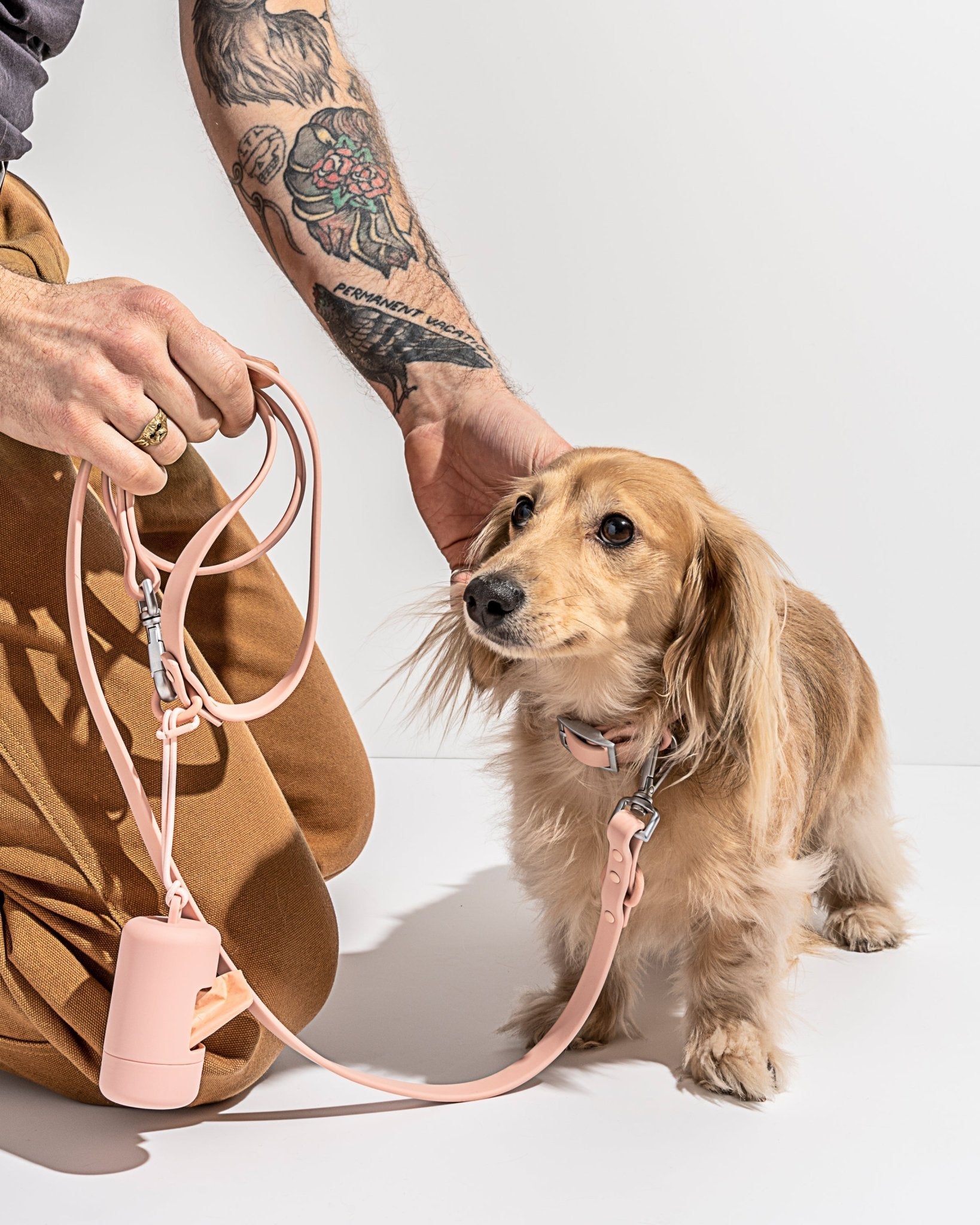 Collar - Eva Pet - Wild One