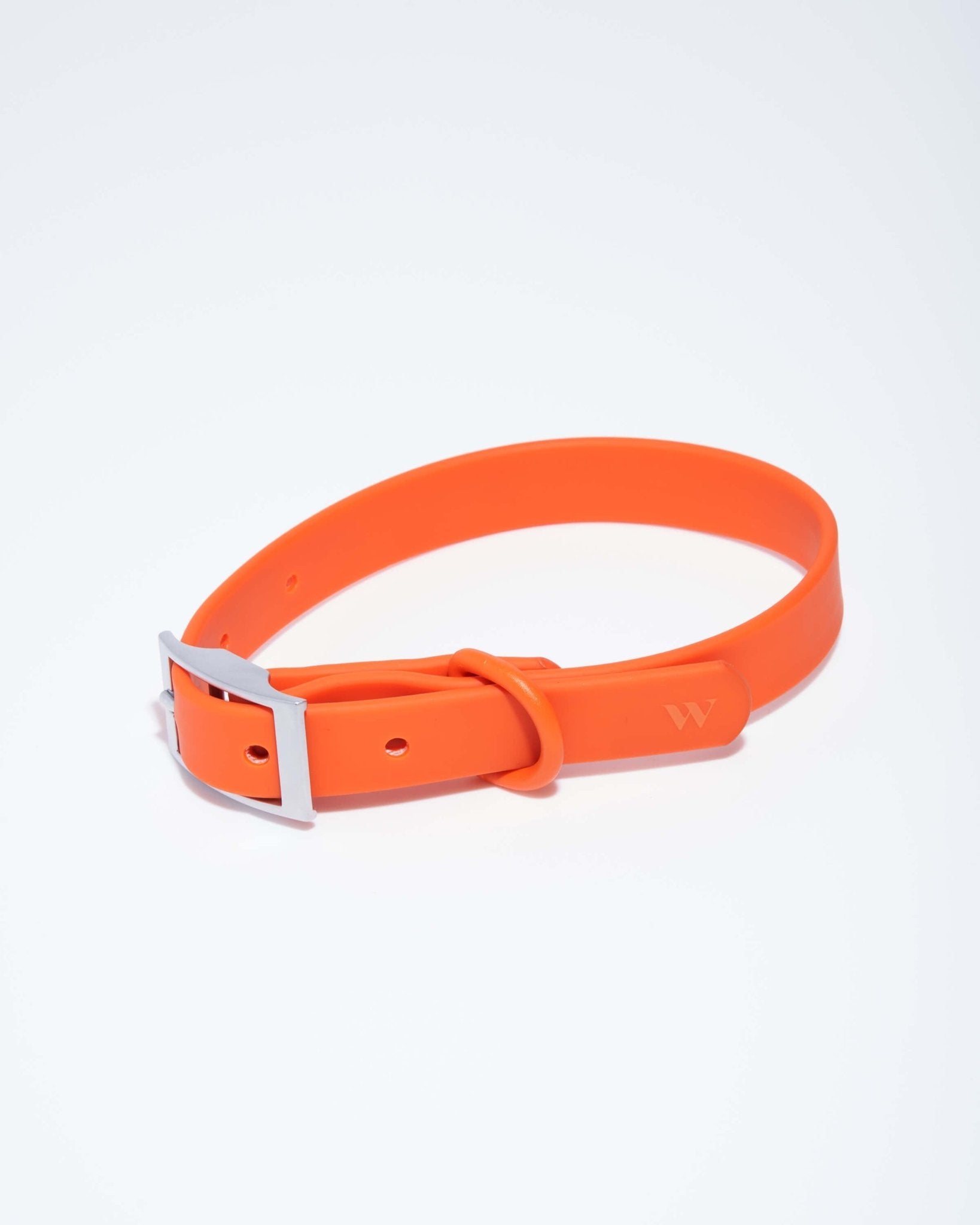 Collar - Eva Pet - Wild One