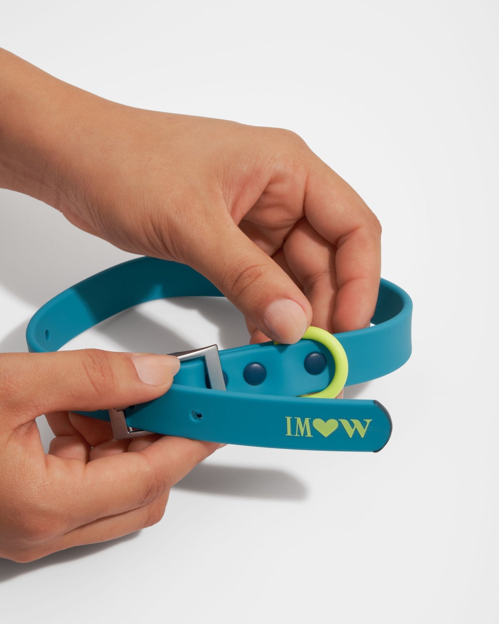 Collar - Eva Pet - Wild One