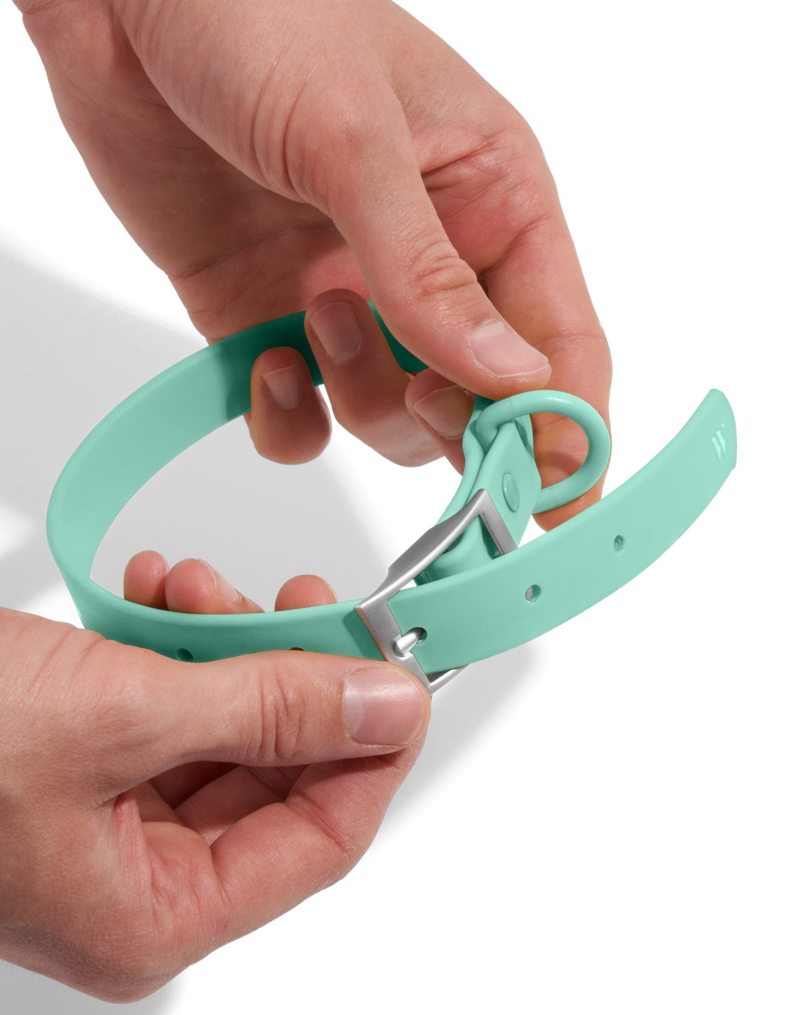 Collar - Eva Pet - Wild One