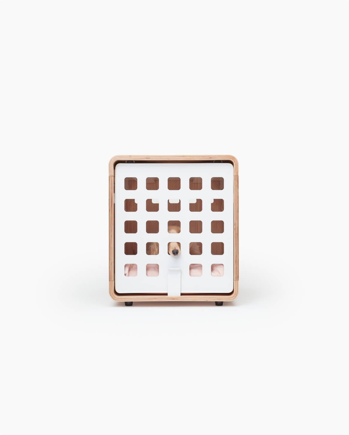 Signature Finish | White Gate | S