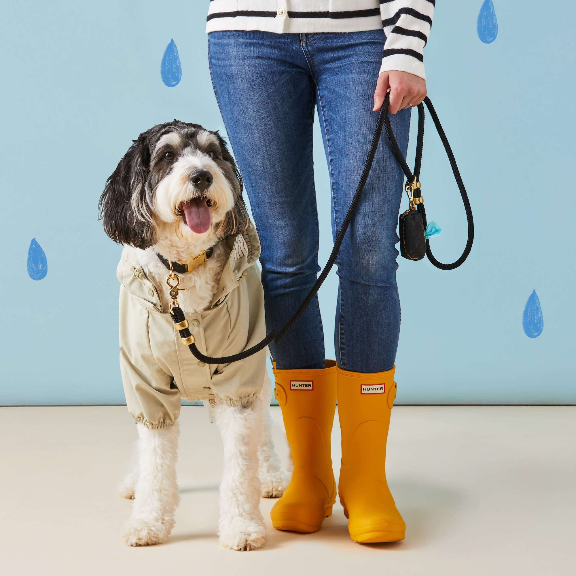 Sage Dog Raincoat