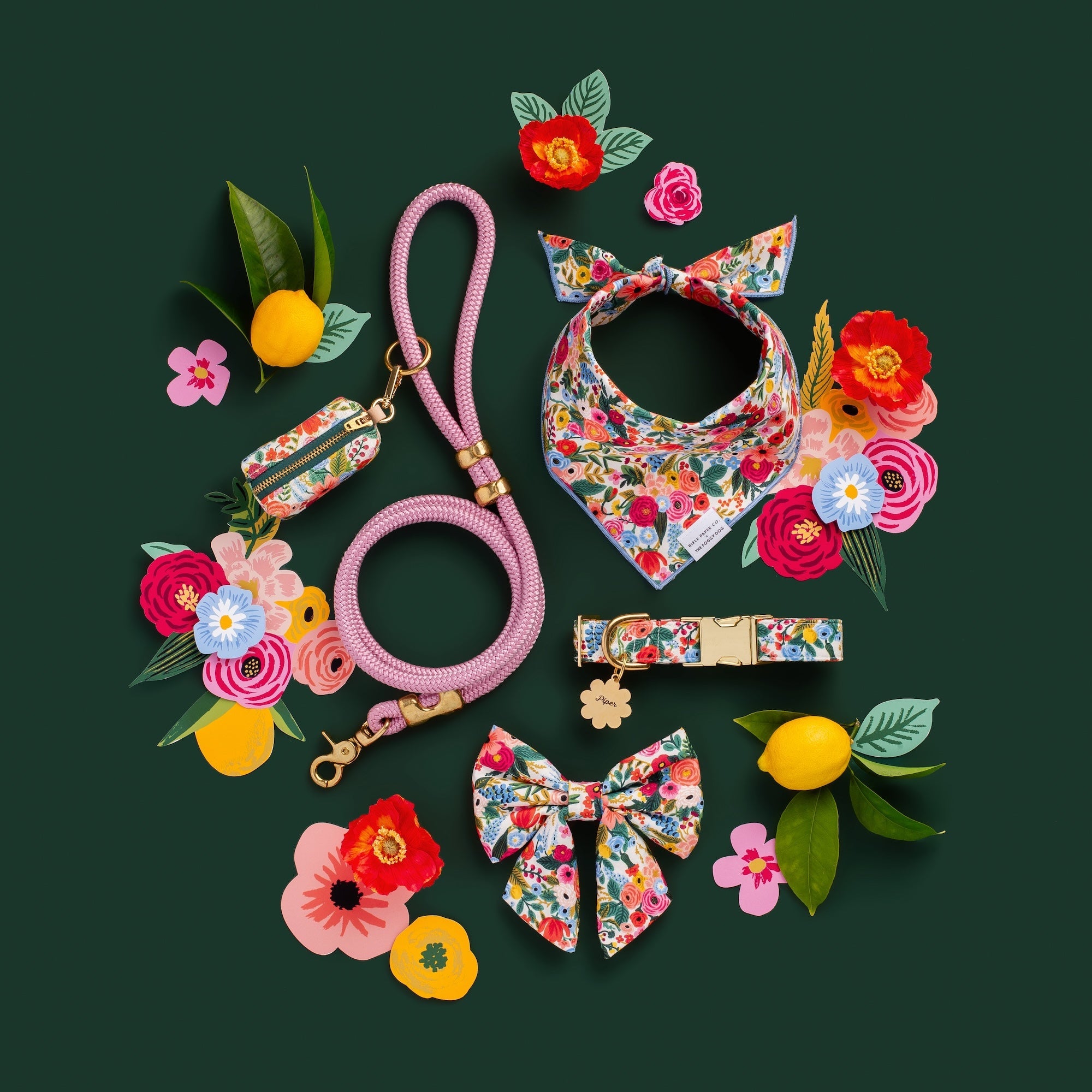 Rifle Paper Co. x TFD Garden Party Dog Collar