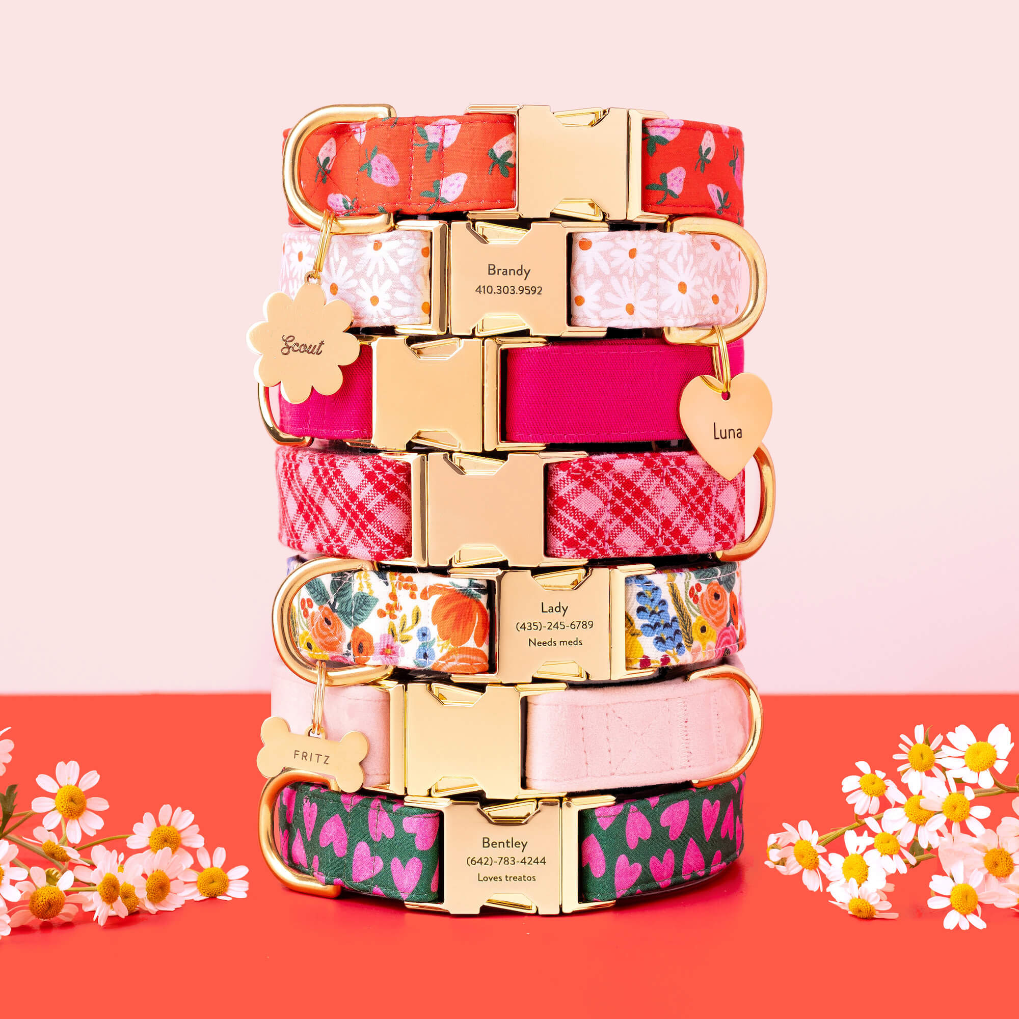 Rifle Paper Co. x TFD Garden Party Dog Collar