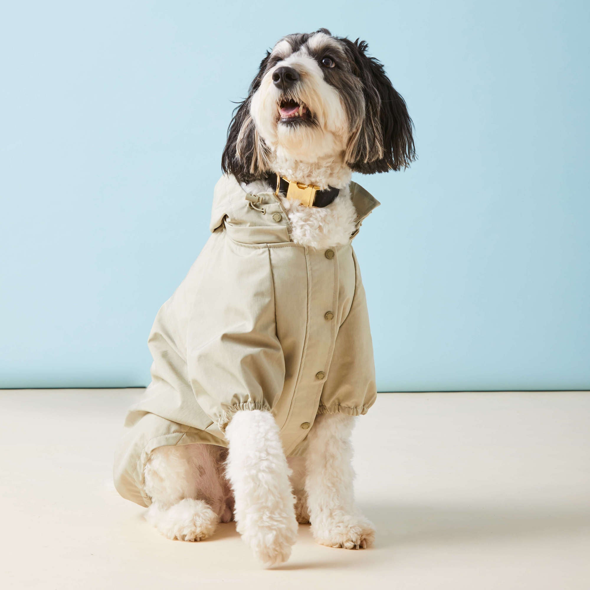 Sage Dog Raincoat