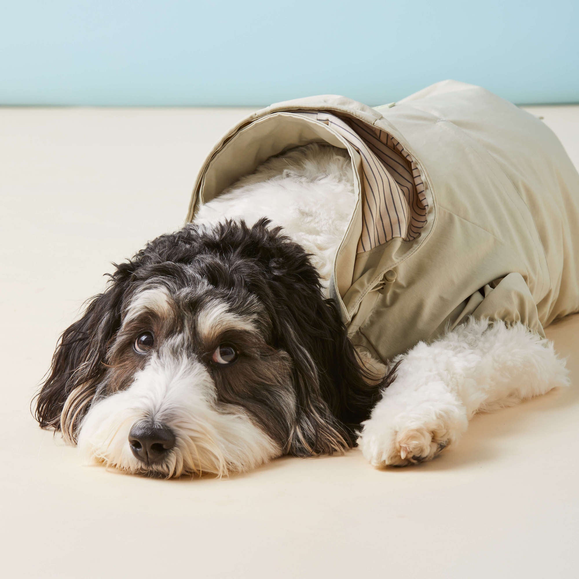 Sage Dog Raincoat