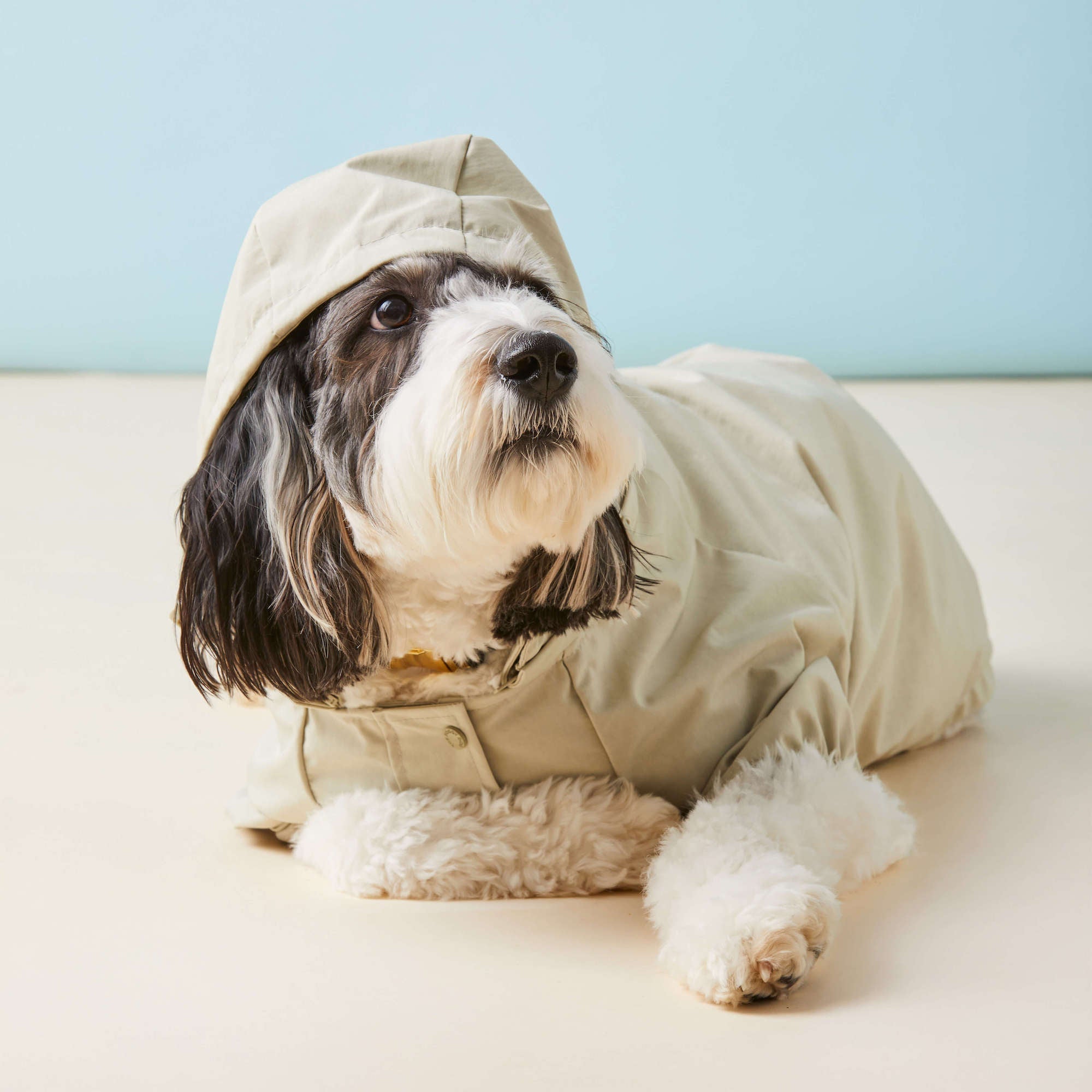 Sage Dog Raincoat