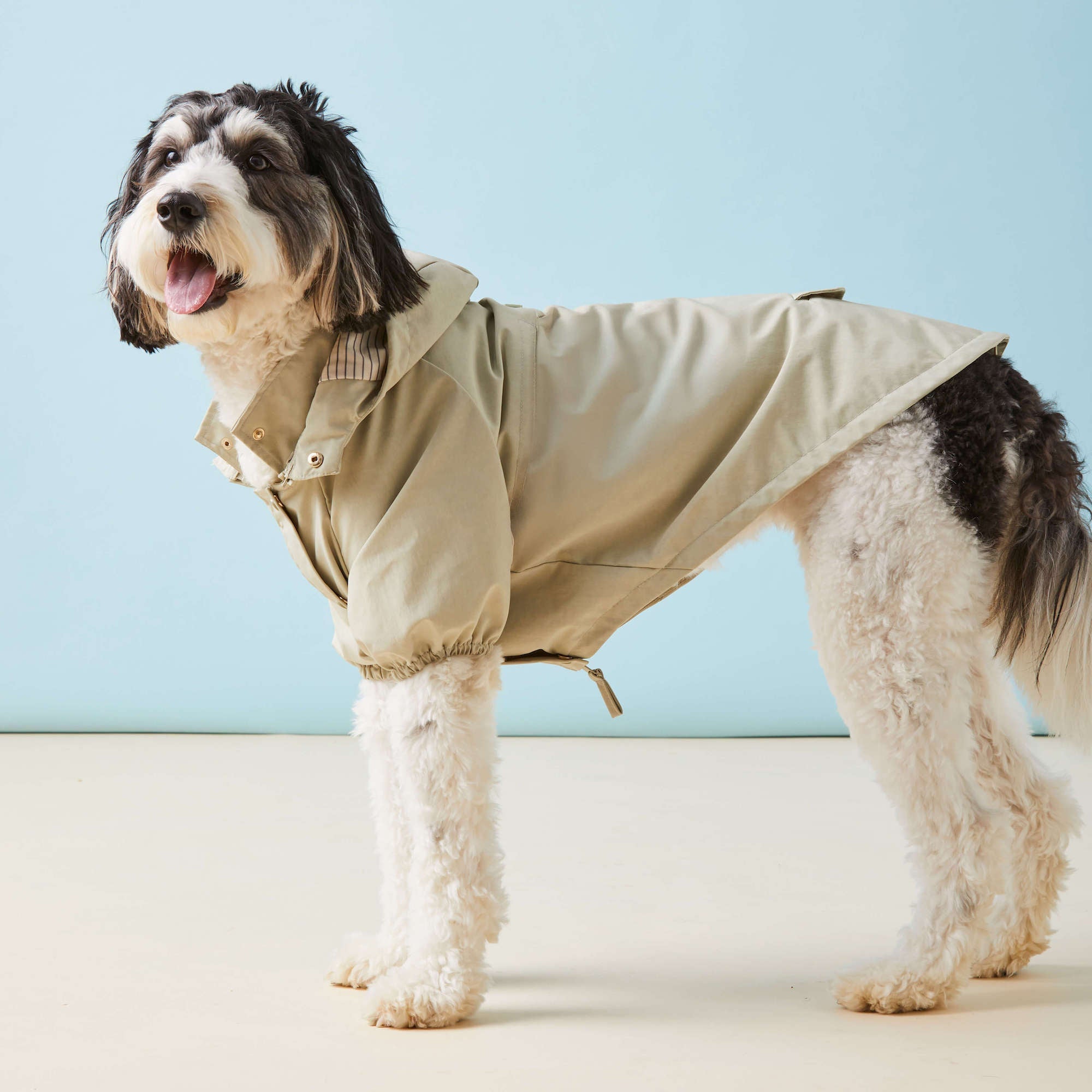 Sage Dog Raincoat