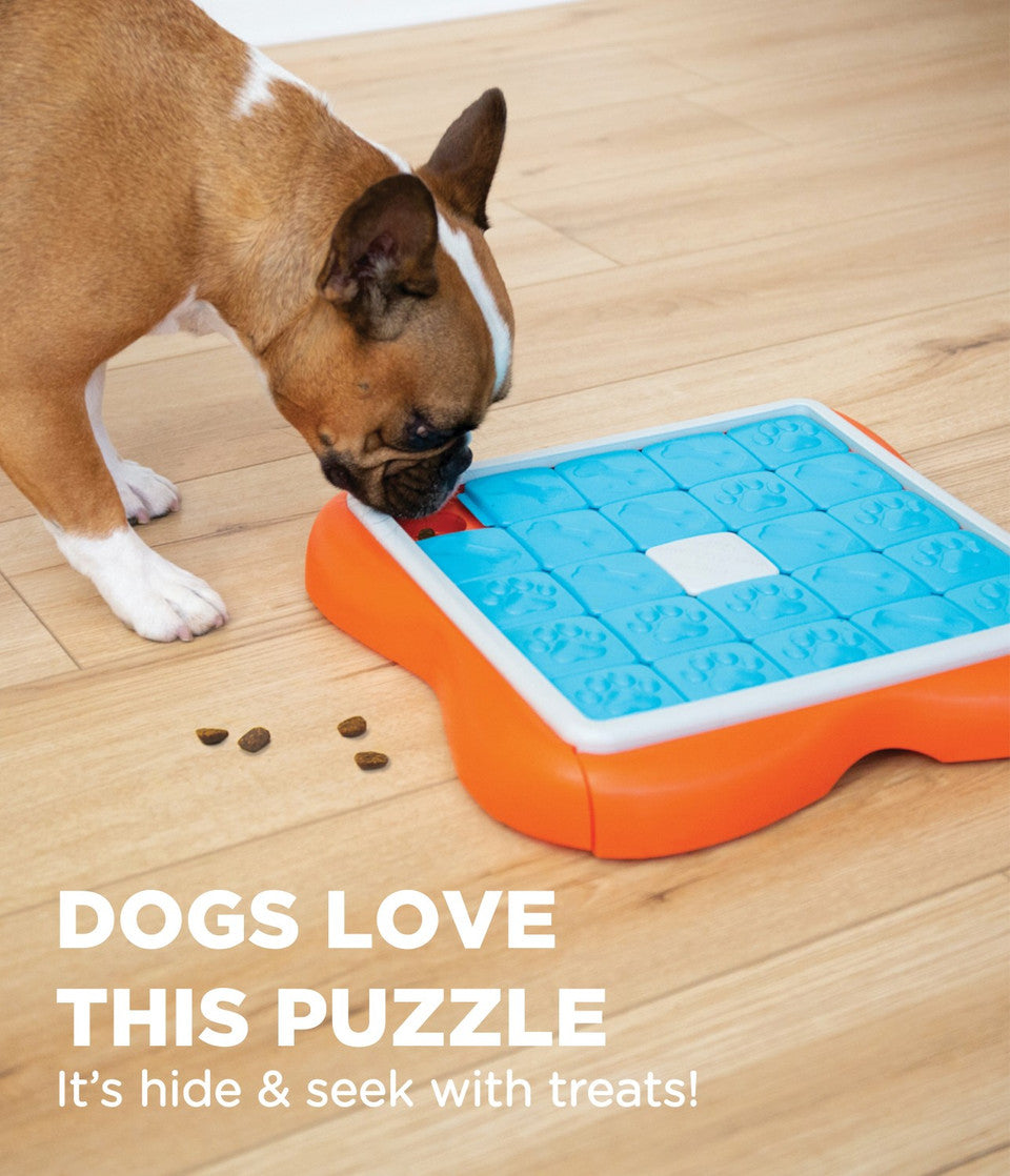 Challenge Slider Interactive Treat Puzzle Dog Toy, Multi